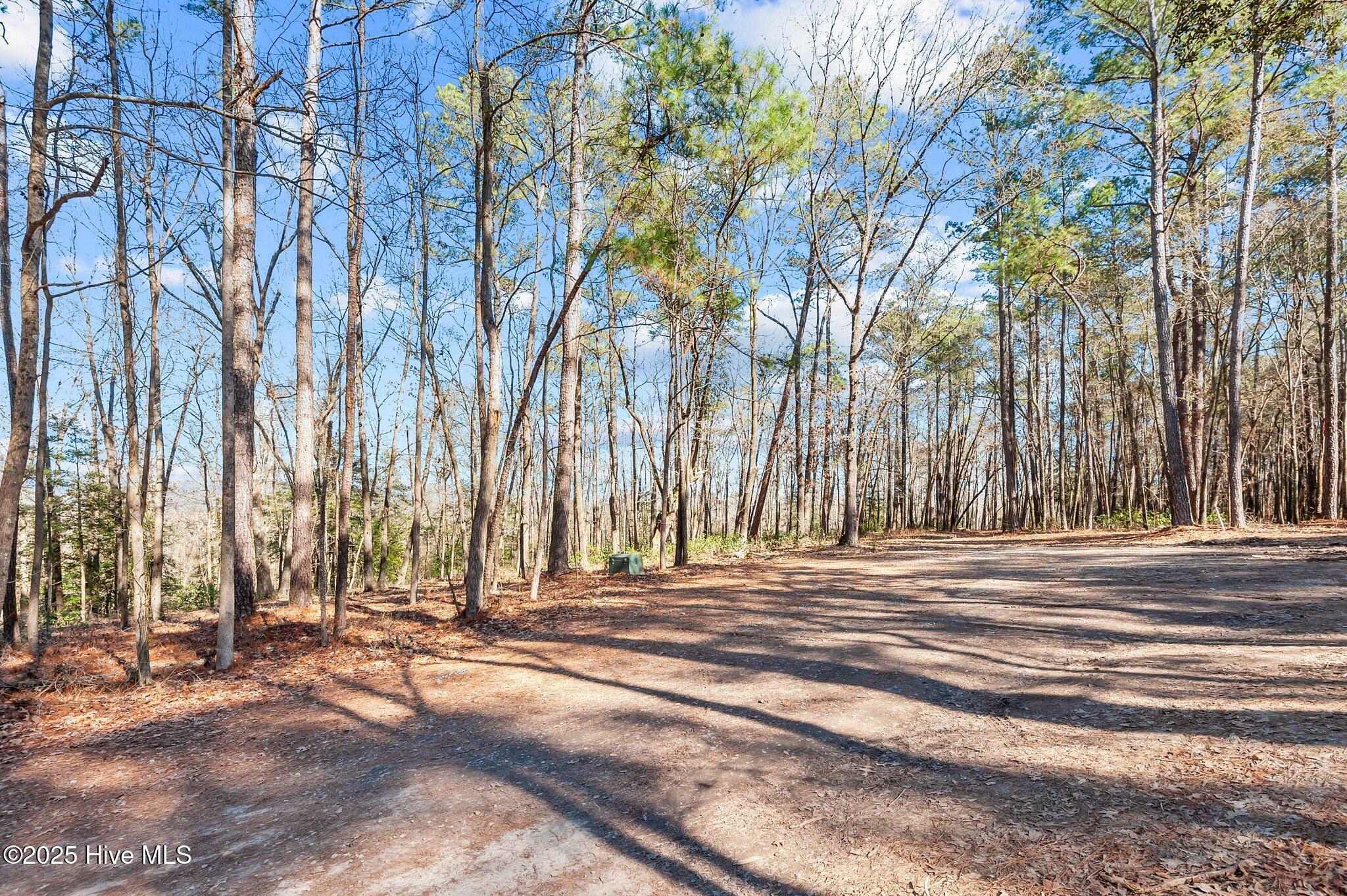 17-web-or-mls-_DSC3501