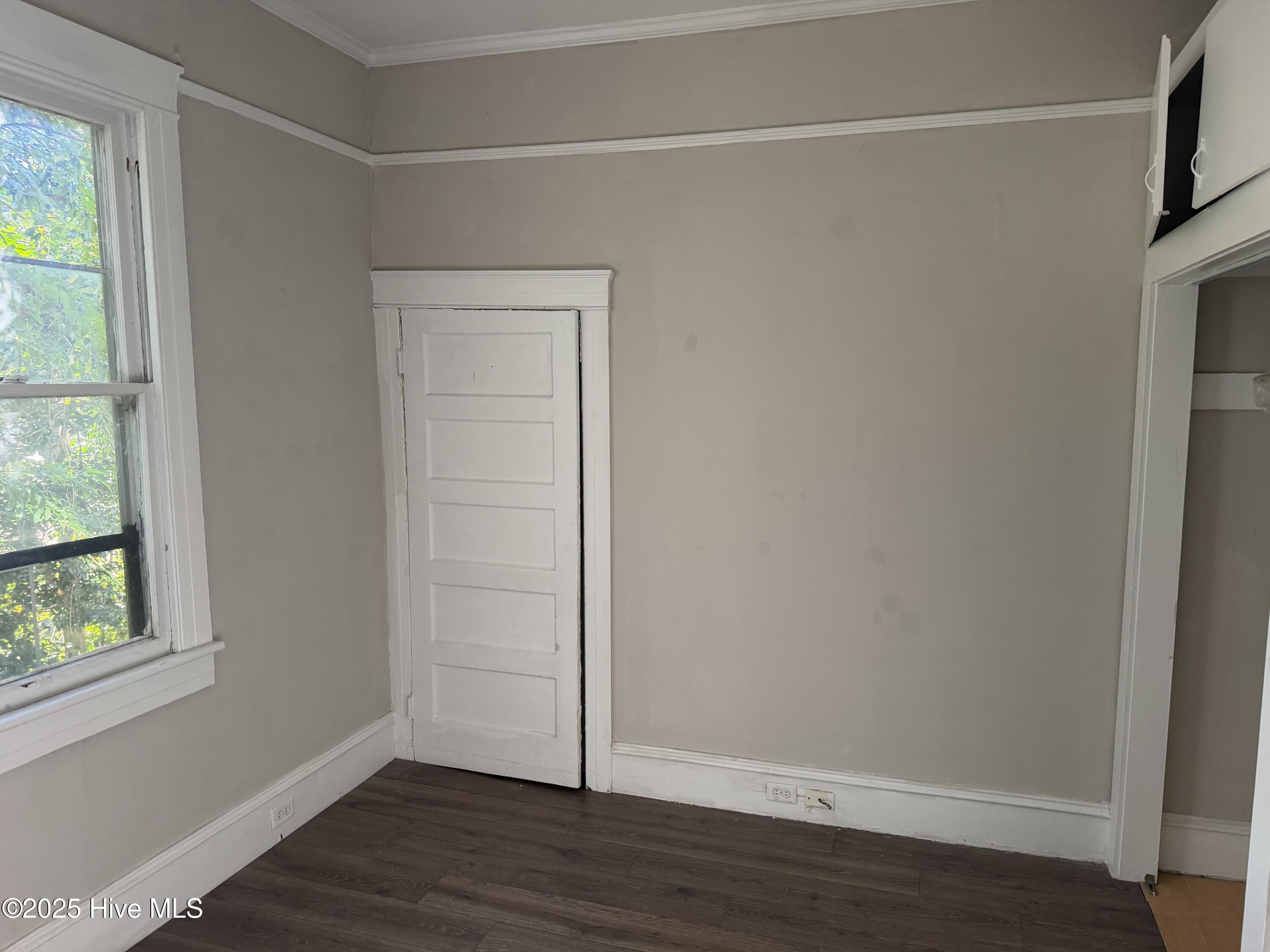 100546661 | Photo 10