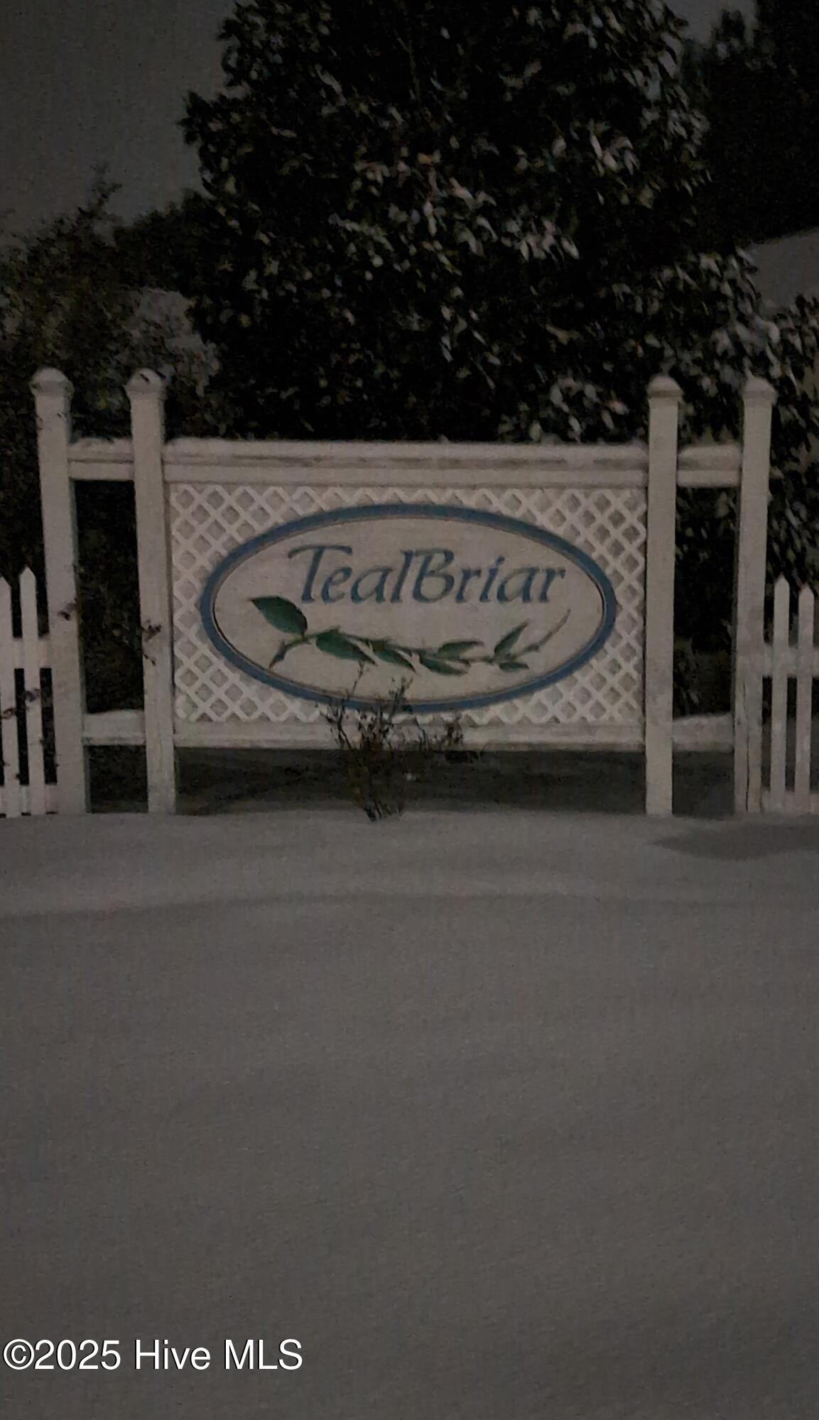 108 Willowbend Drive, Burgaw, NC 28425 – photo 24: TealBriar
