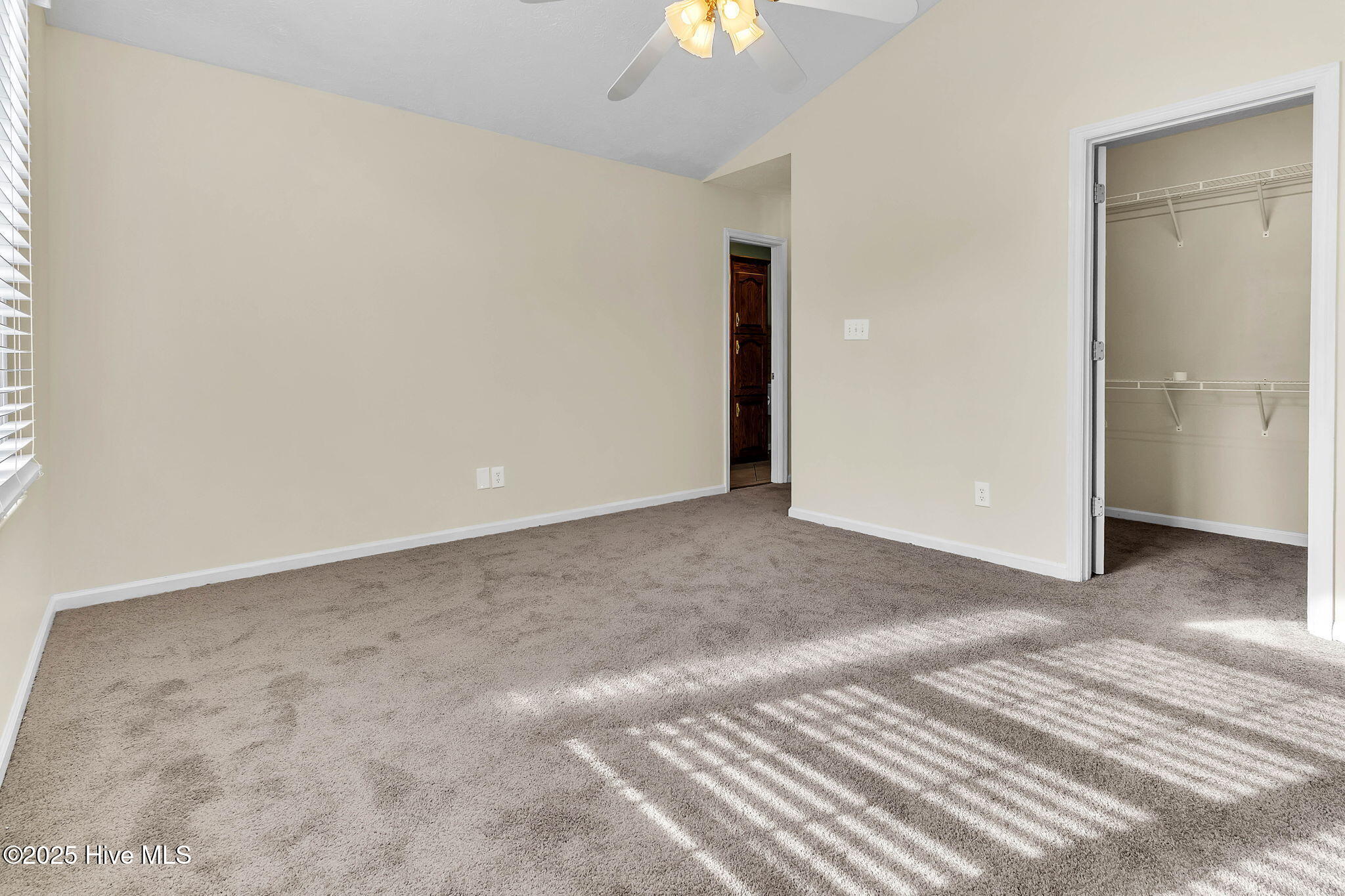 100546241 | Photo 15