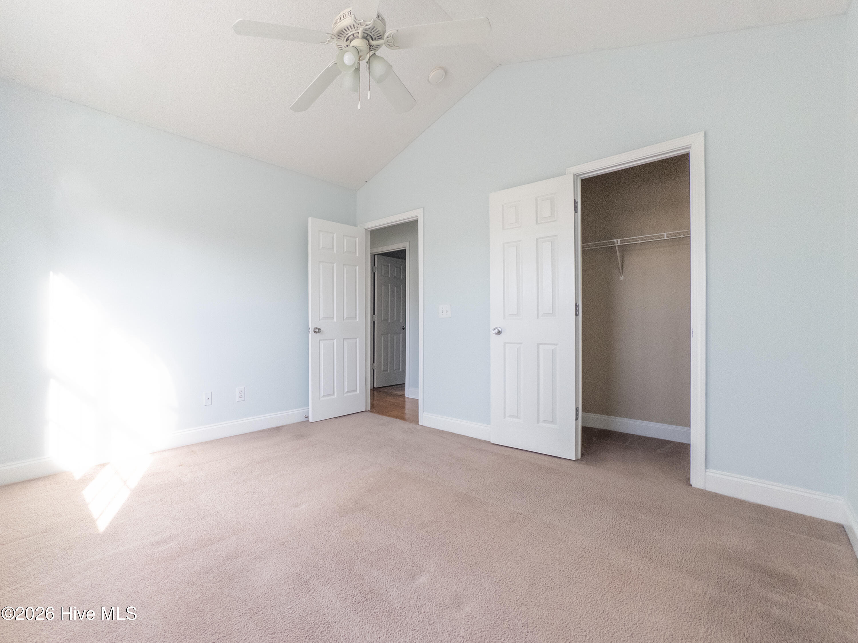 100558413 | Photo 33