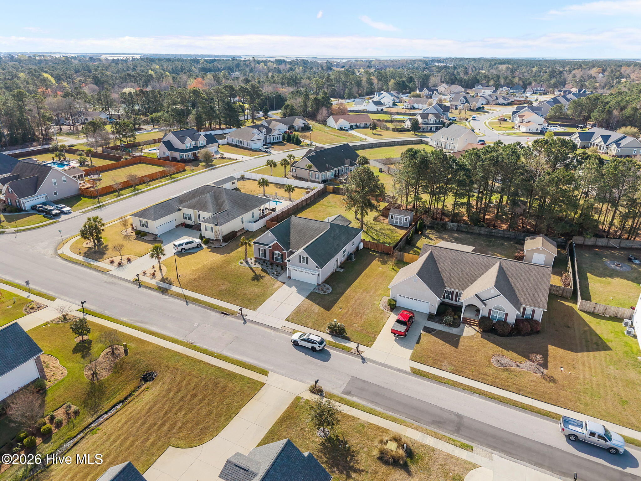 100558969 | Photo 12