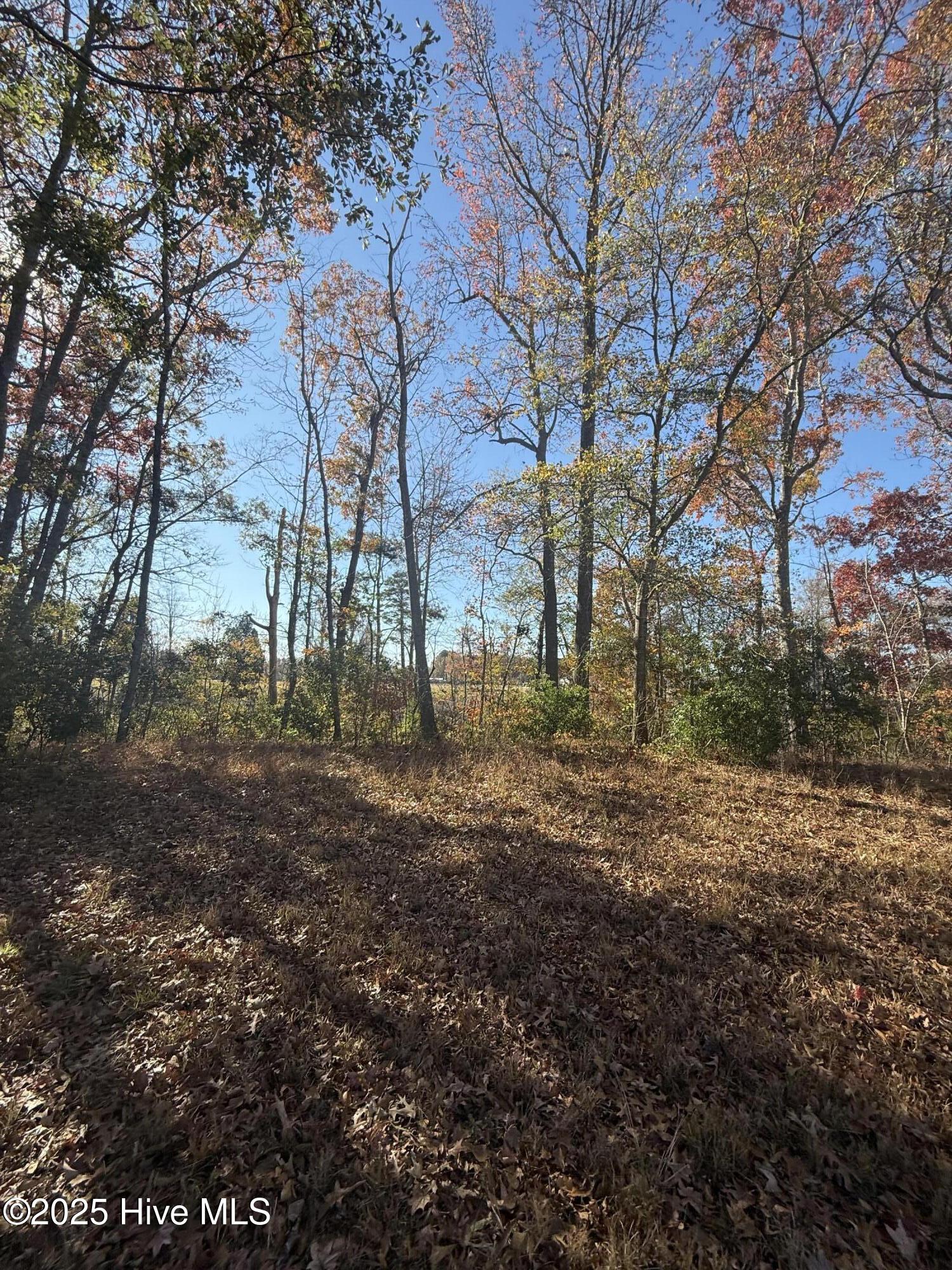 Homes for sale in Bath, NC | 136 Bridgewater Dr S, Bath, NC 27808 | MLS# 100542696