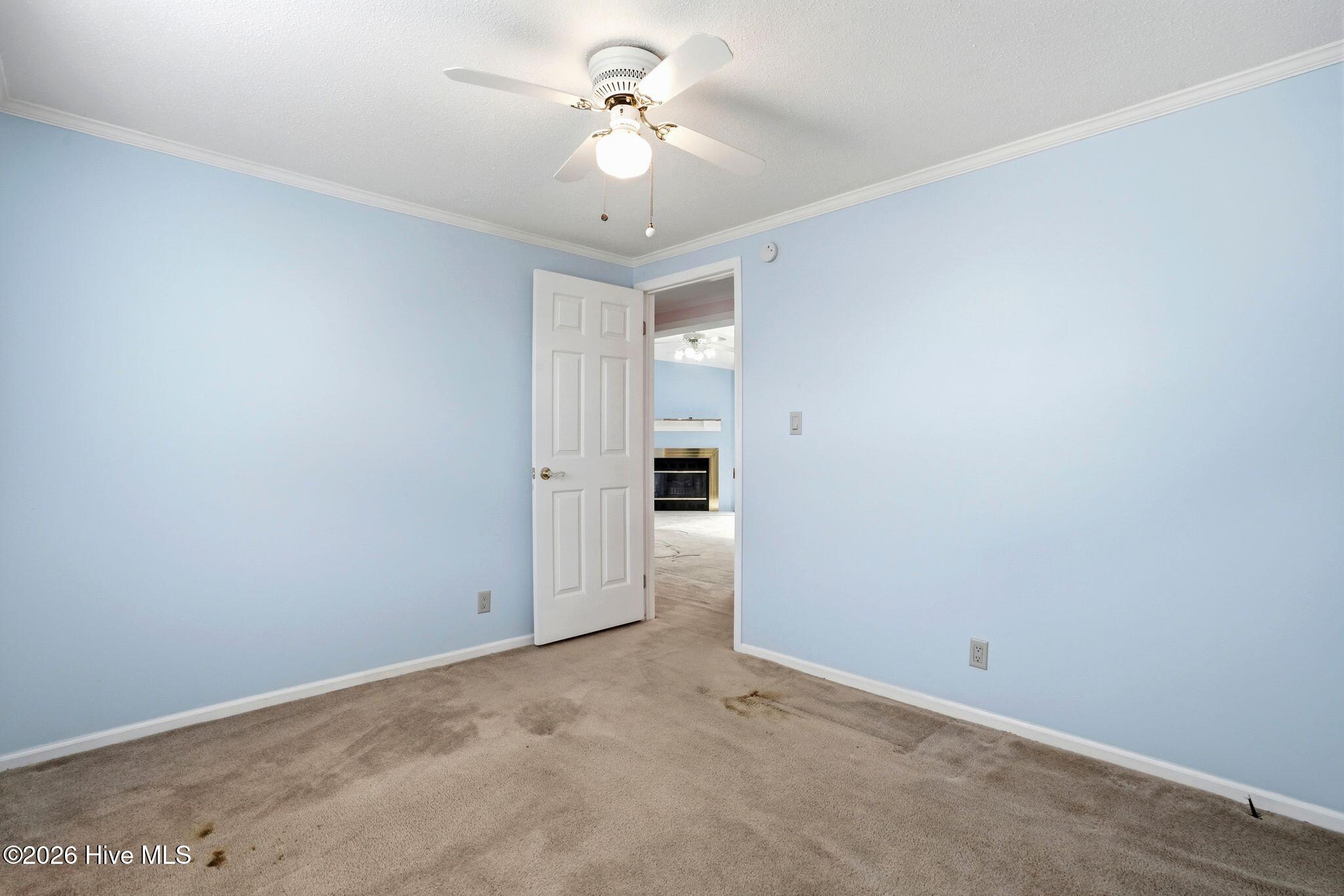 100561756 | Photo 56