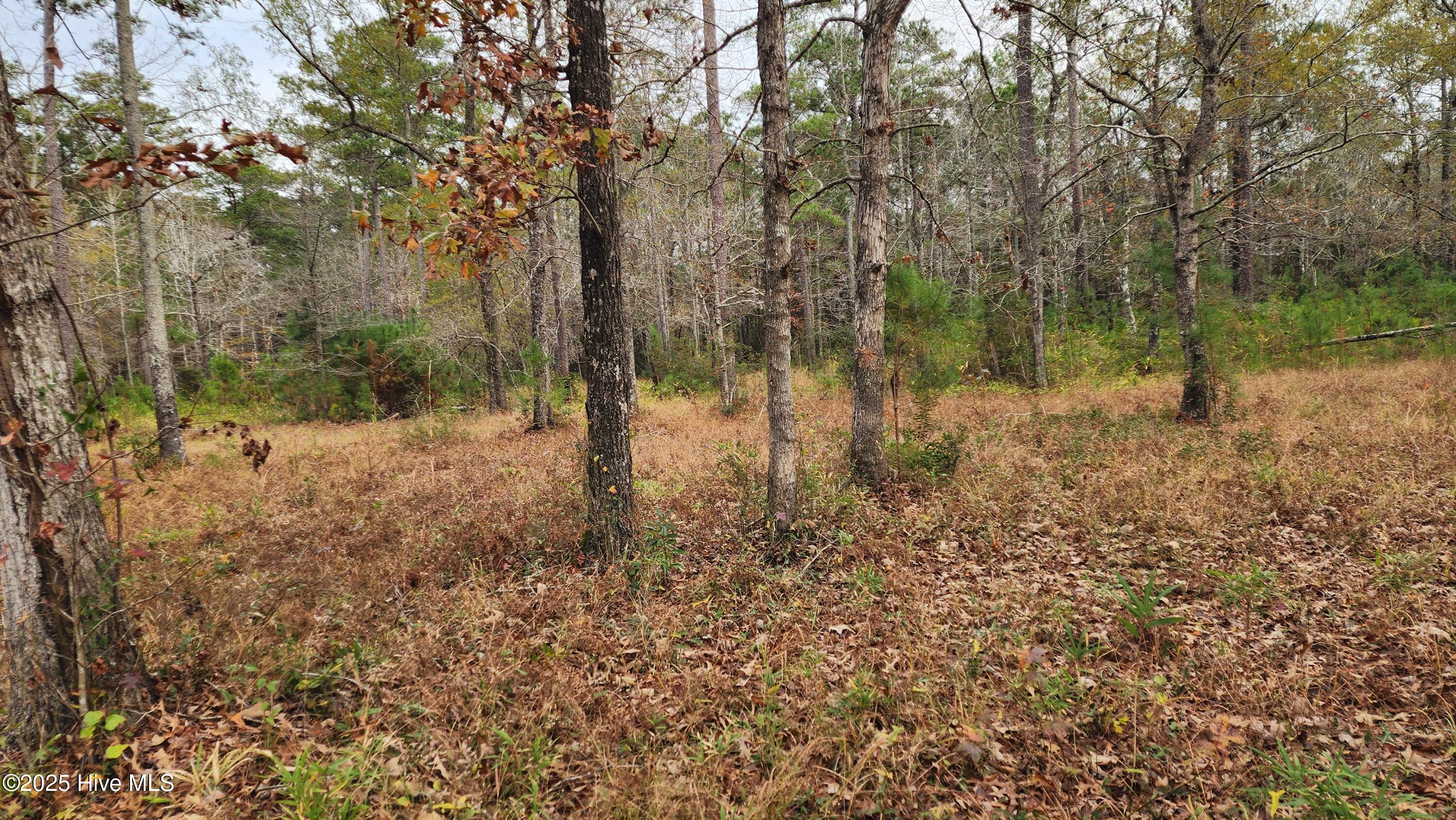112 1 Sandy Point Drive,Beaufort