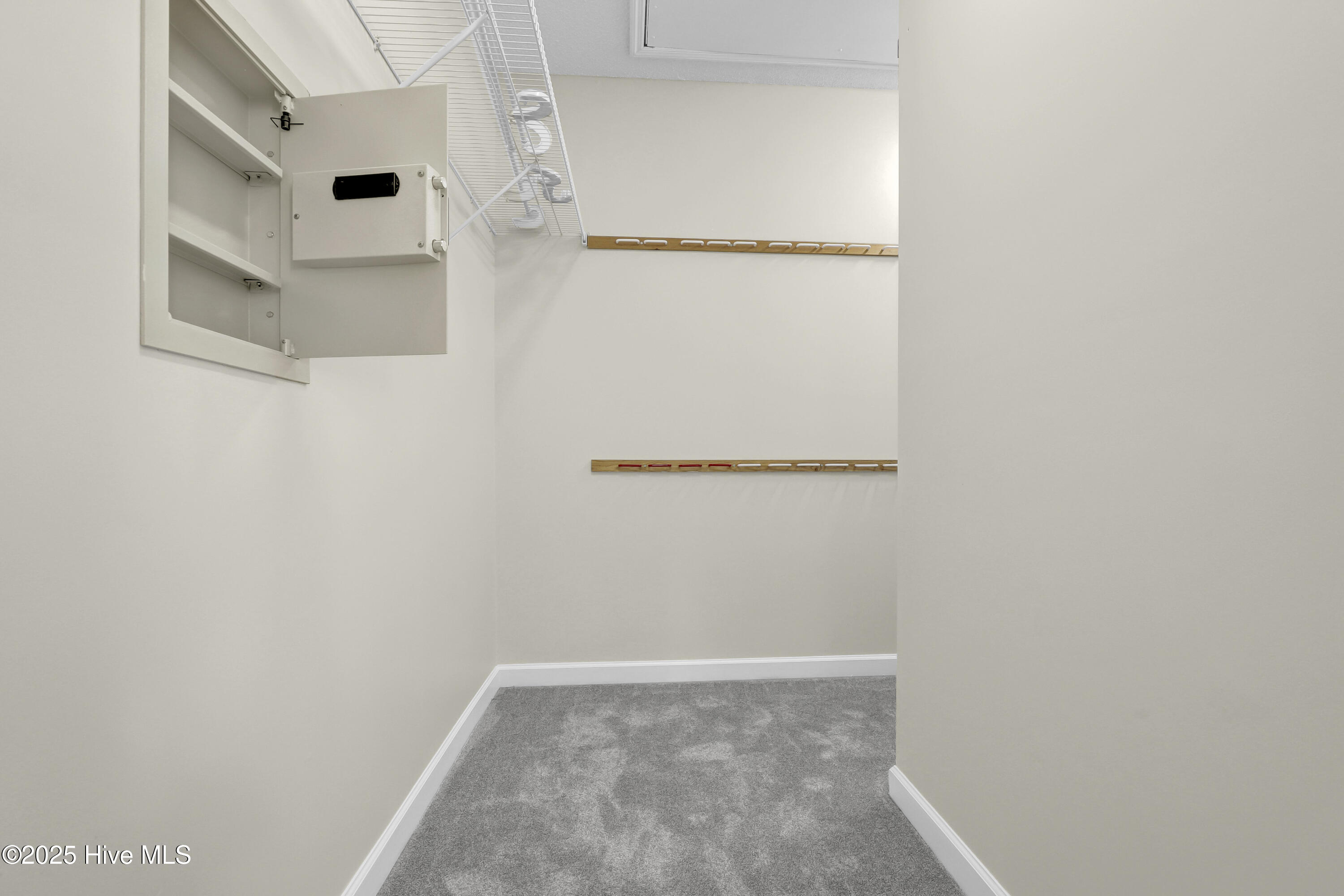 100539078 | Photo 17