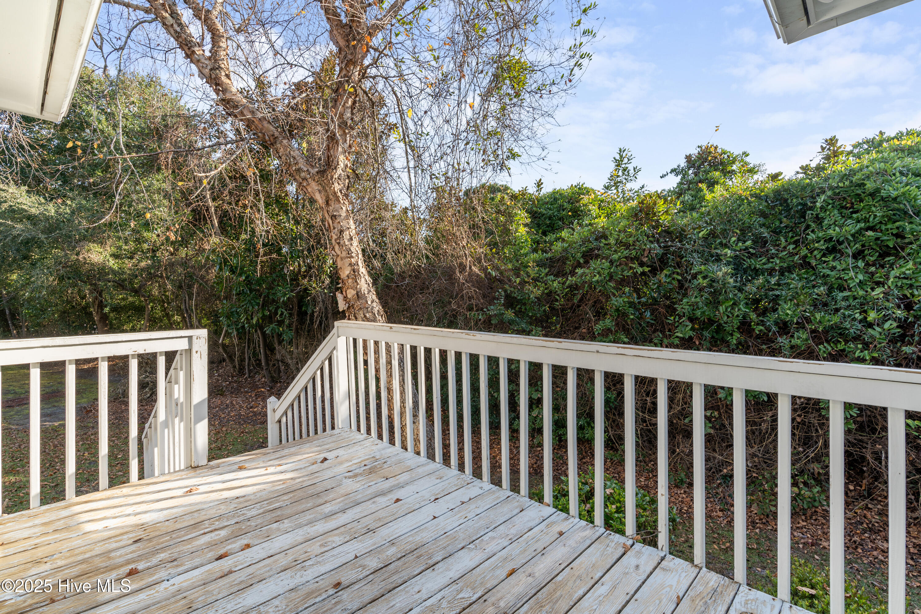 100543647 | Photo 24