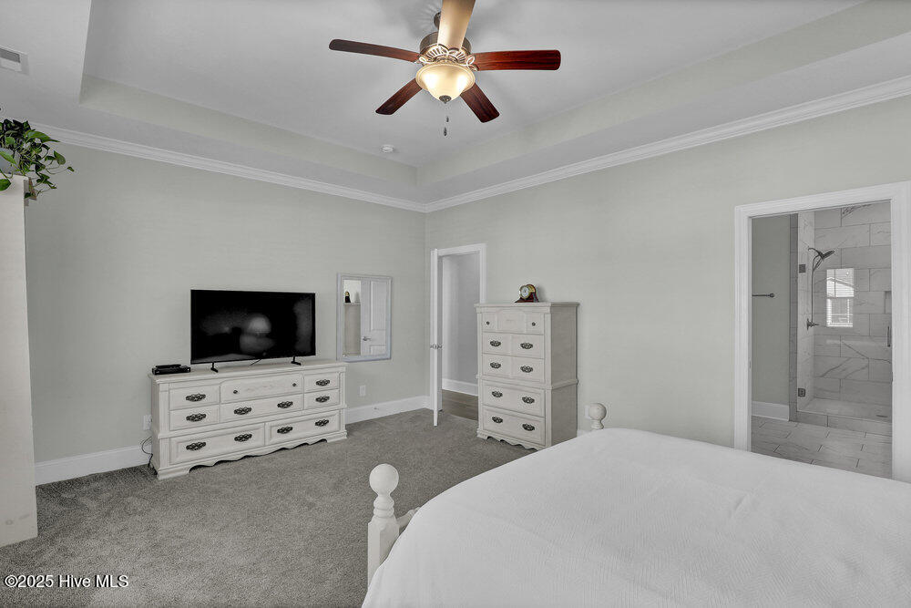 100543264 | Photo 11