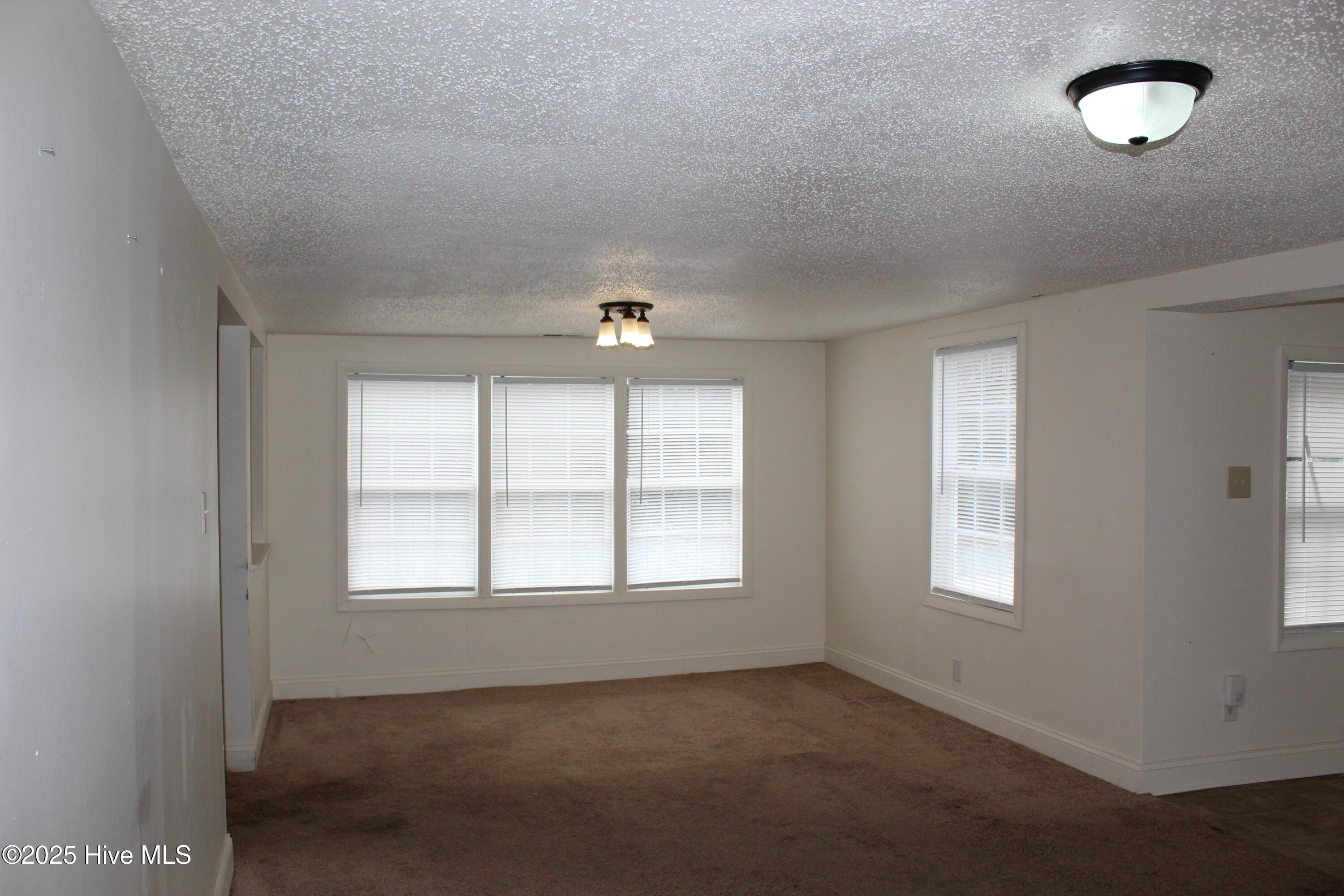 100546555 | Photo 17