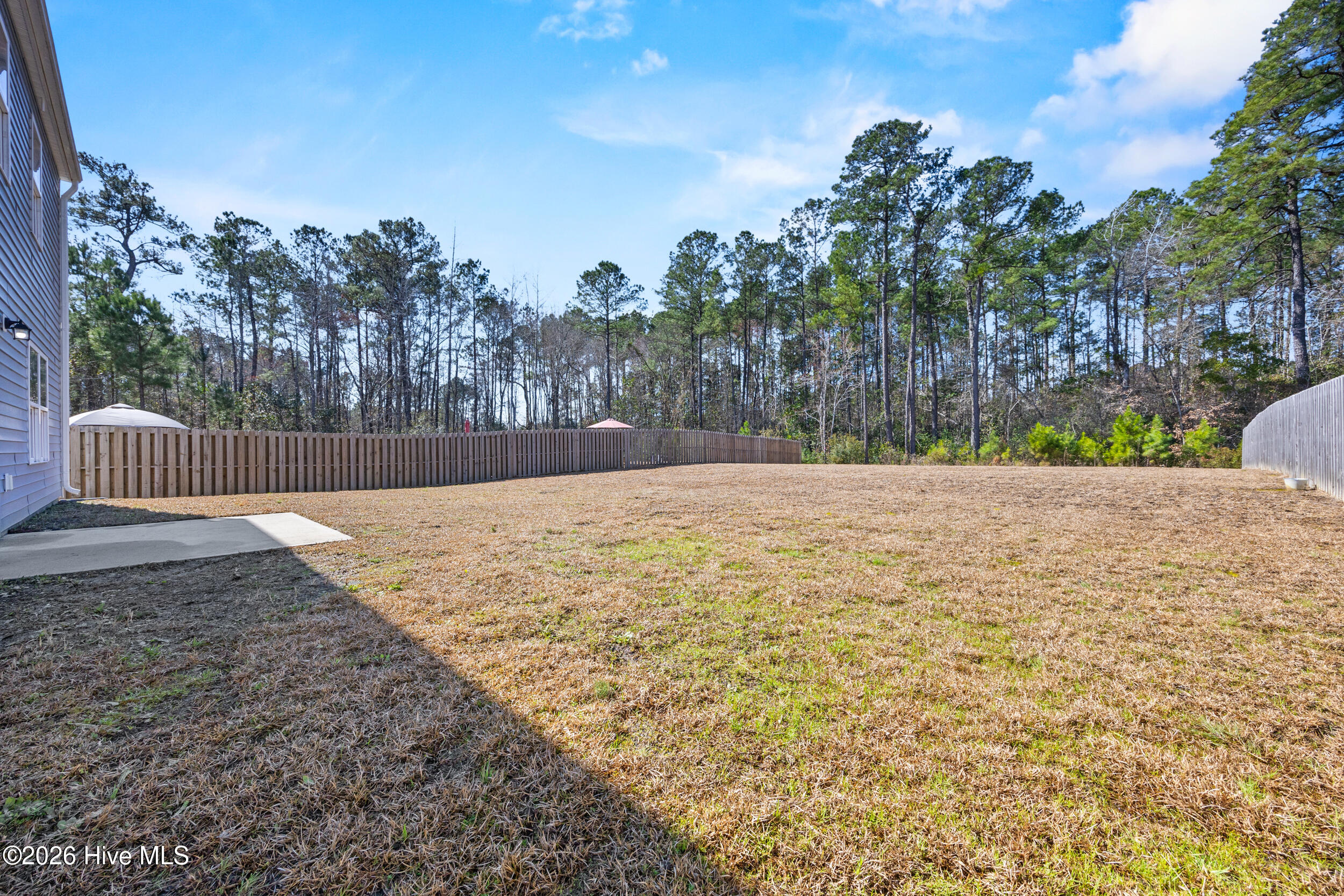 100556435 | Photo 44