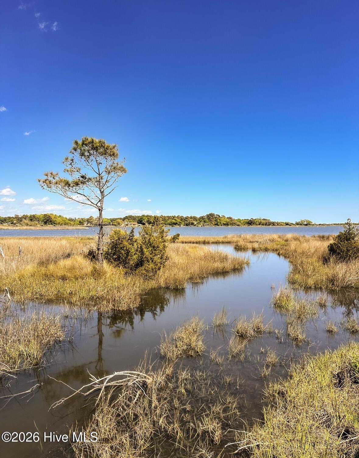 100542109 | Photo 22