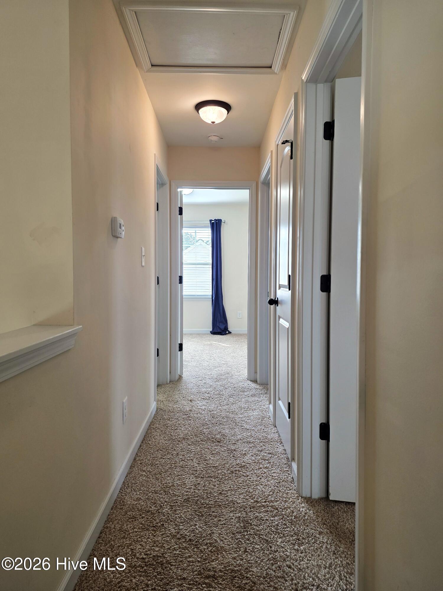 100527843 | Photo 43