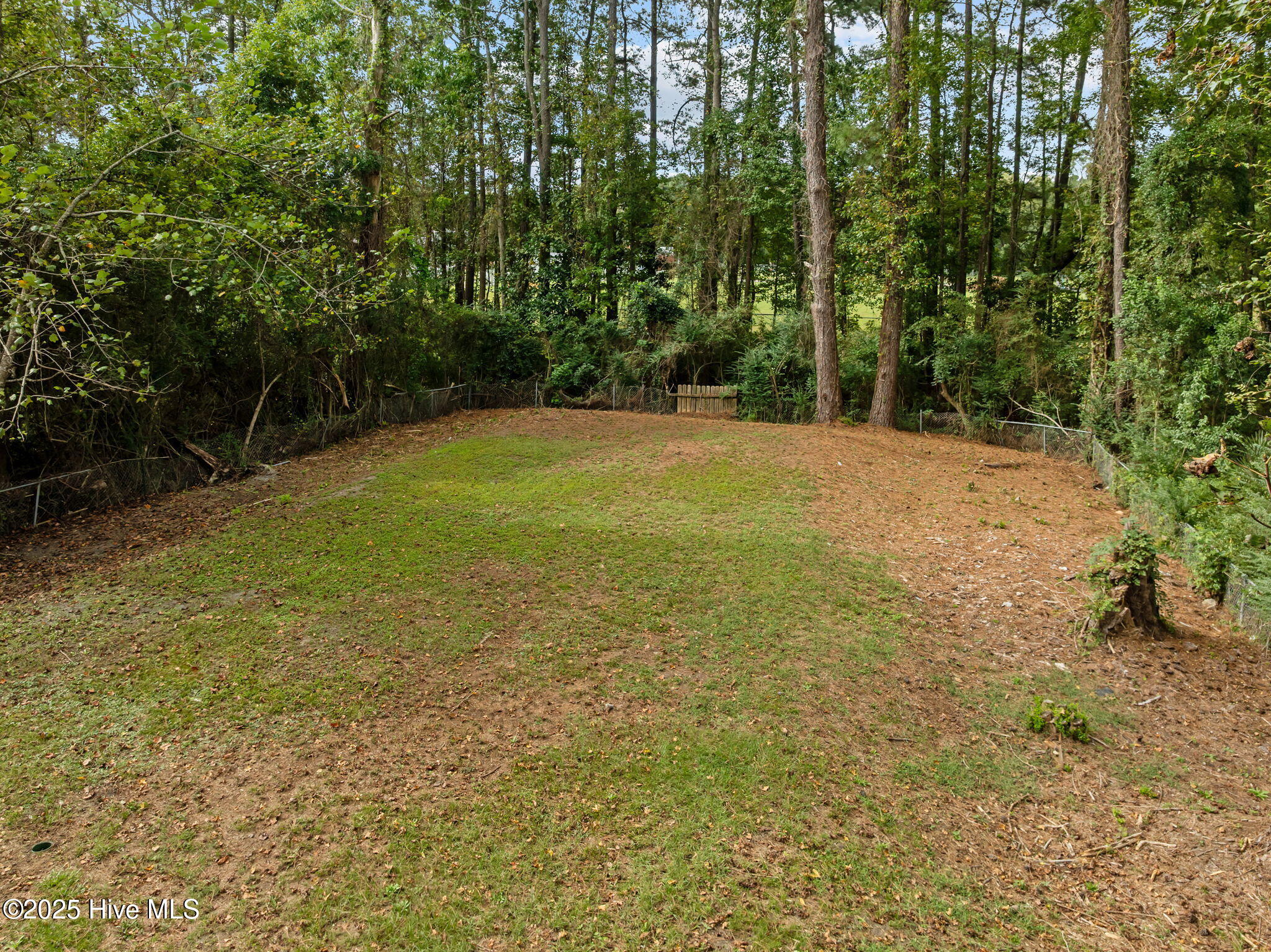 100536002 | Photo 48