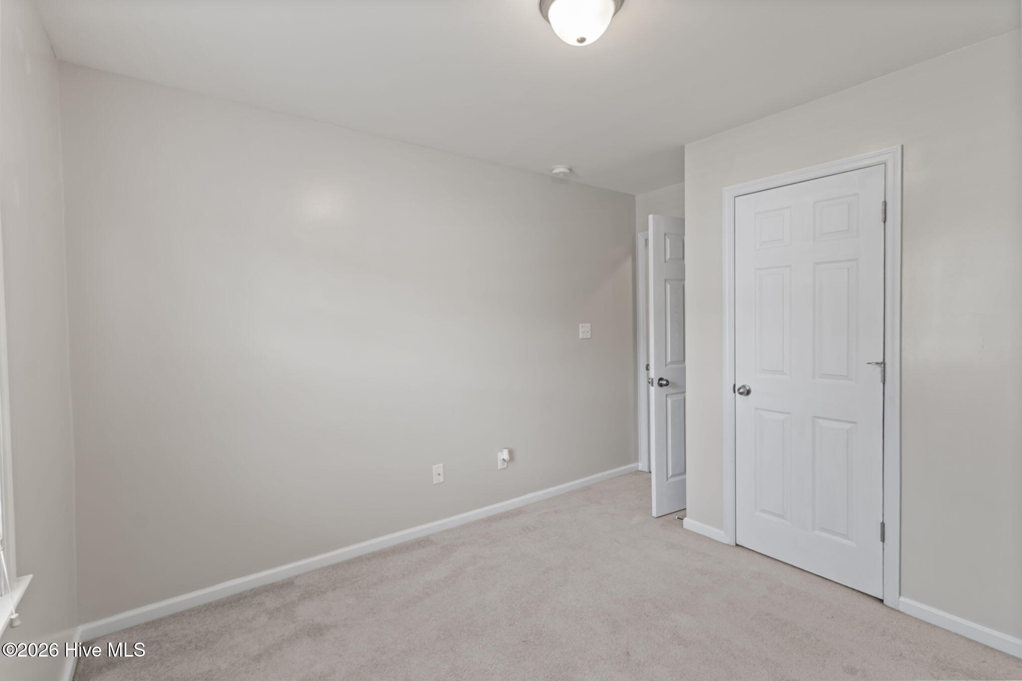 100561505 | Photo 19