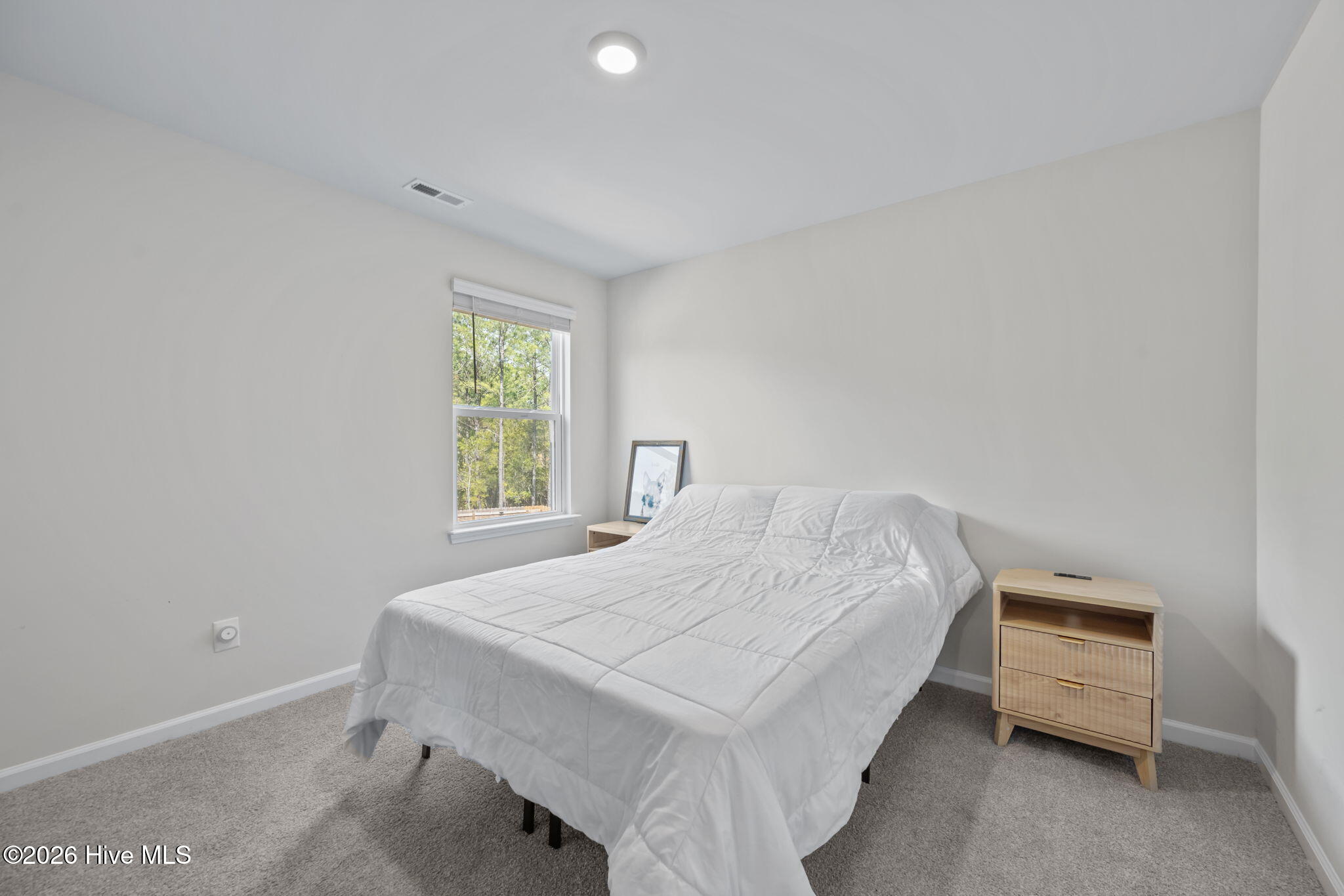 100559787 | Photo 30