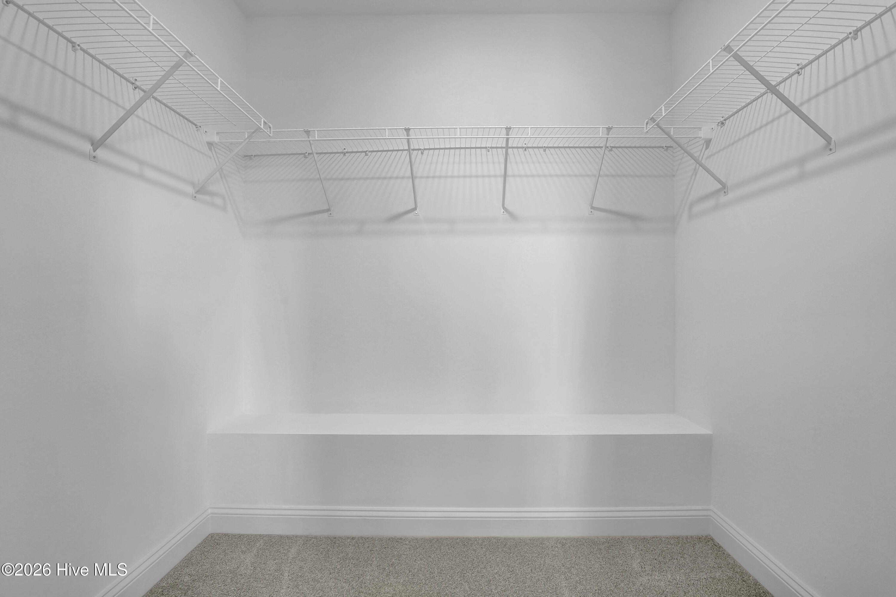 100542873 | Photo 25