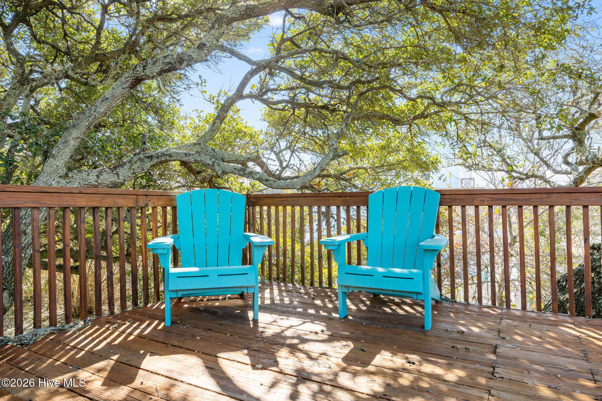 100553918 | Photo 38