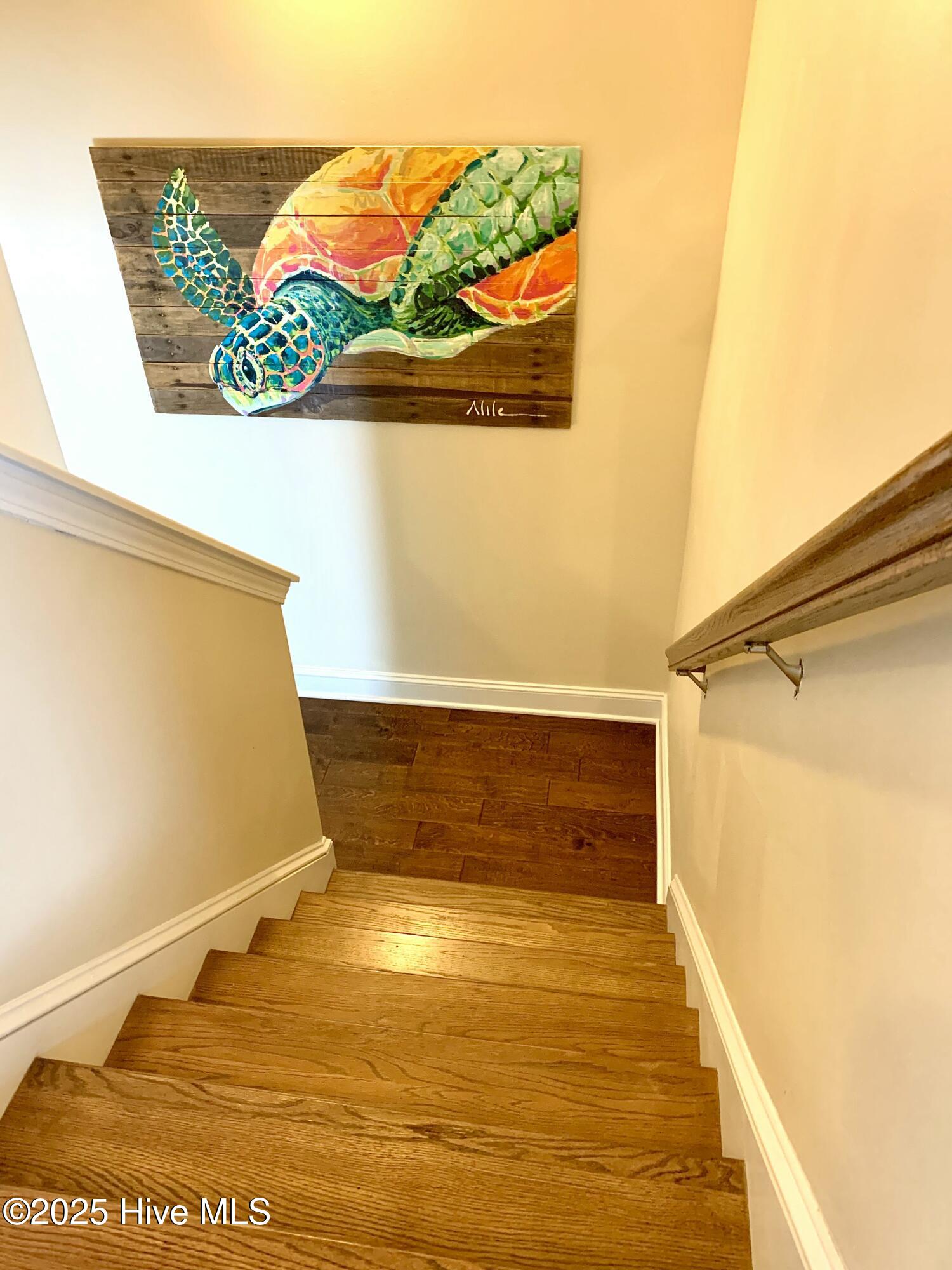 100536015 | Photo 49