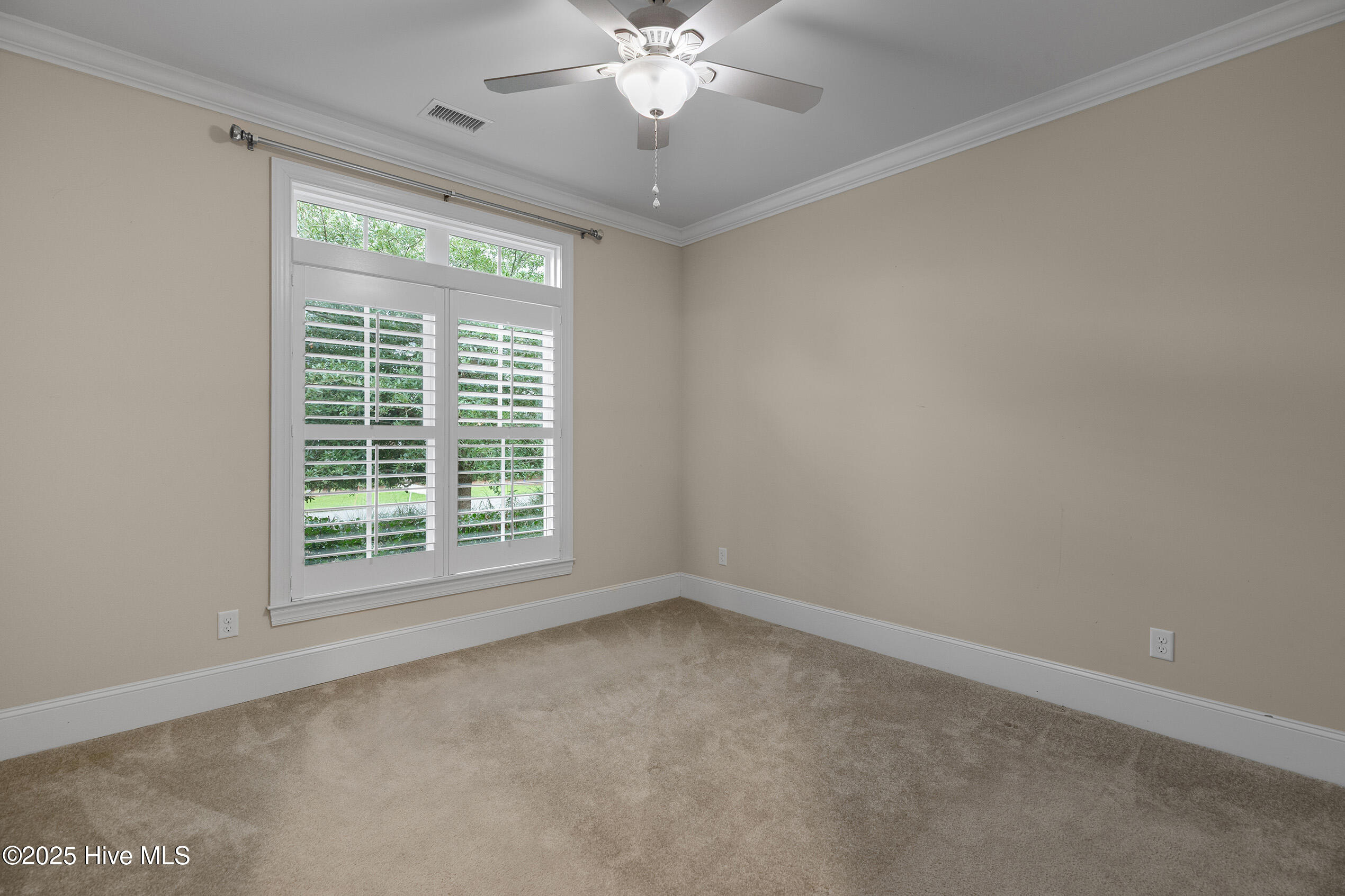 100556749 | Photo 37