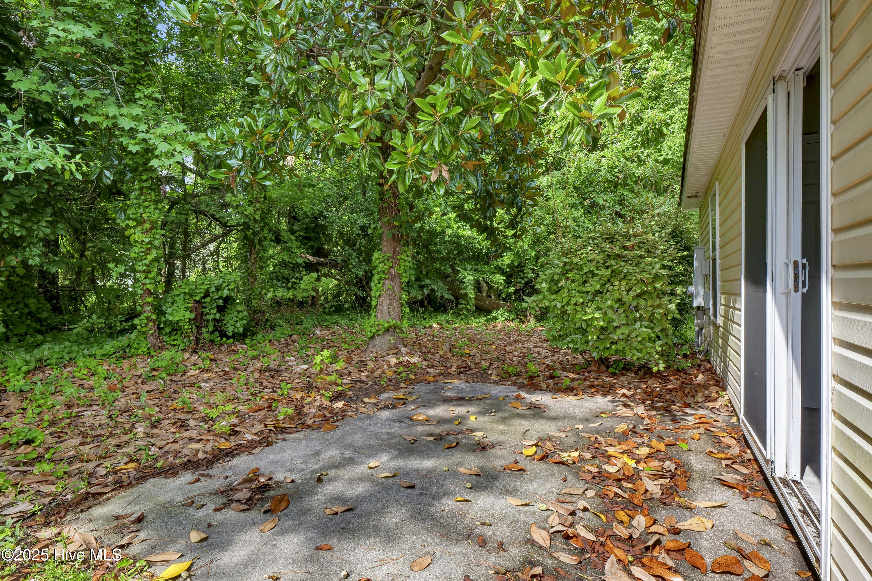 100517859 | Photo 26