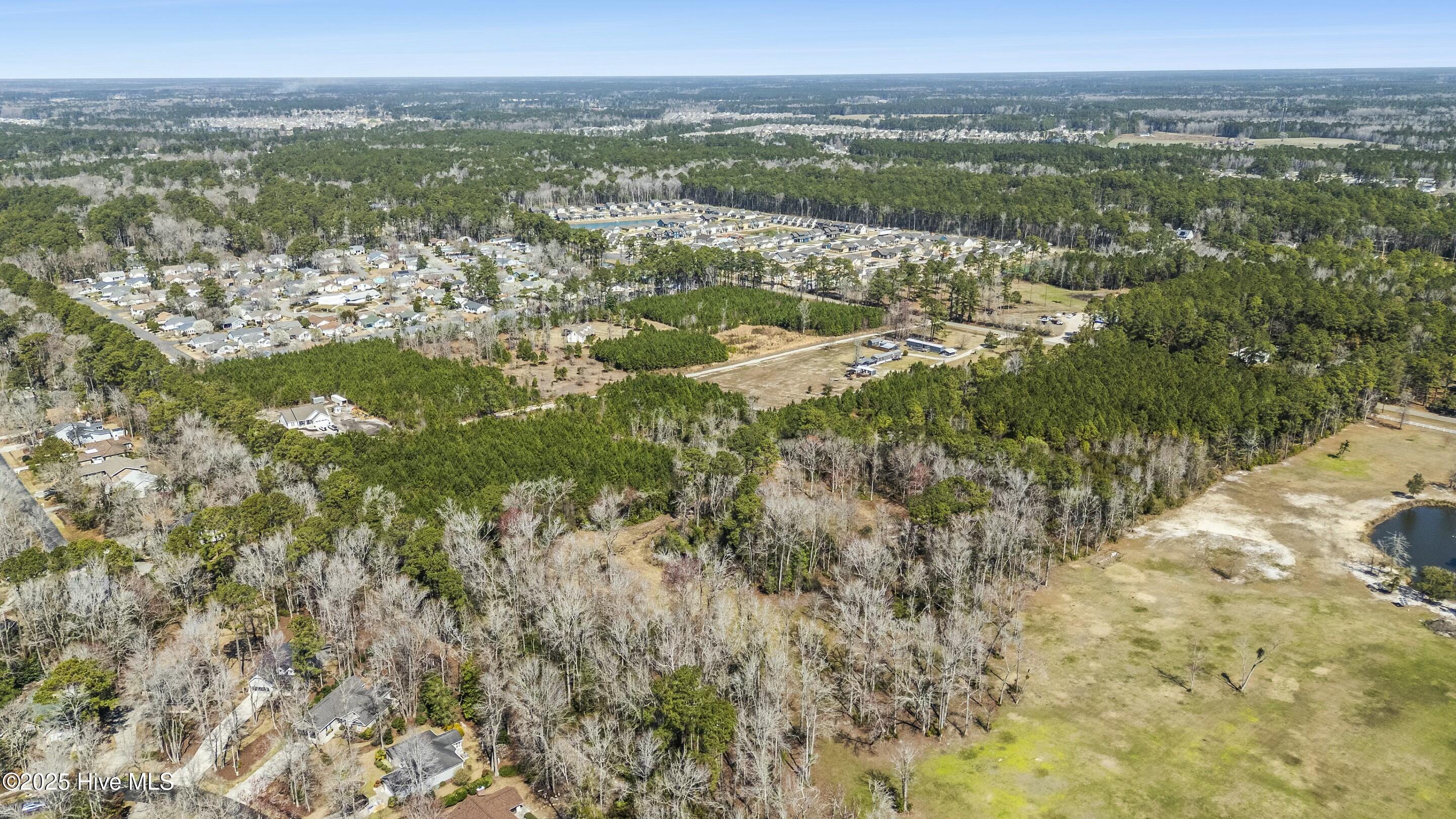 100495483 | Photo 16