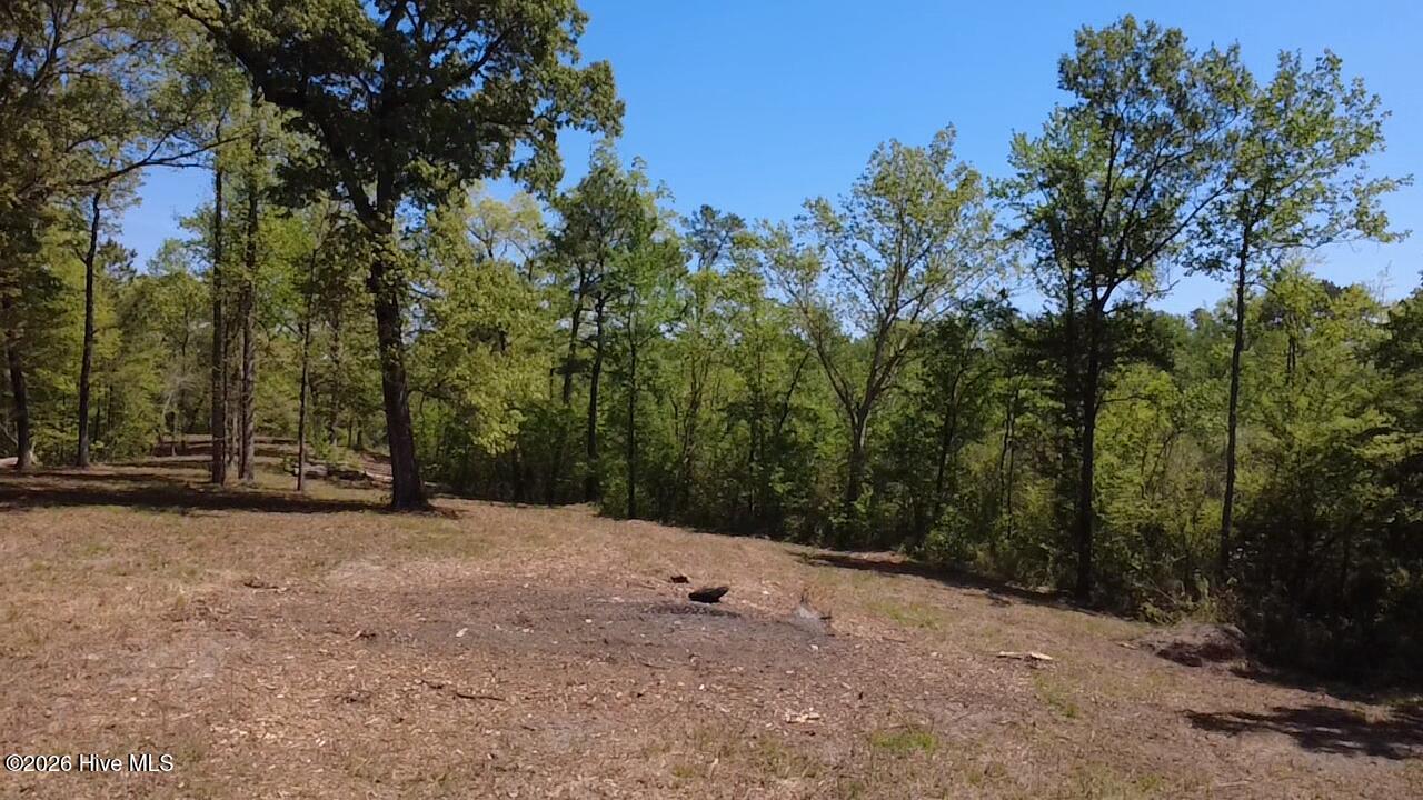 100568145 | Photo 21