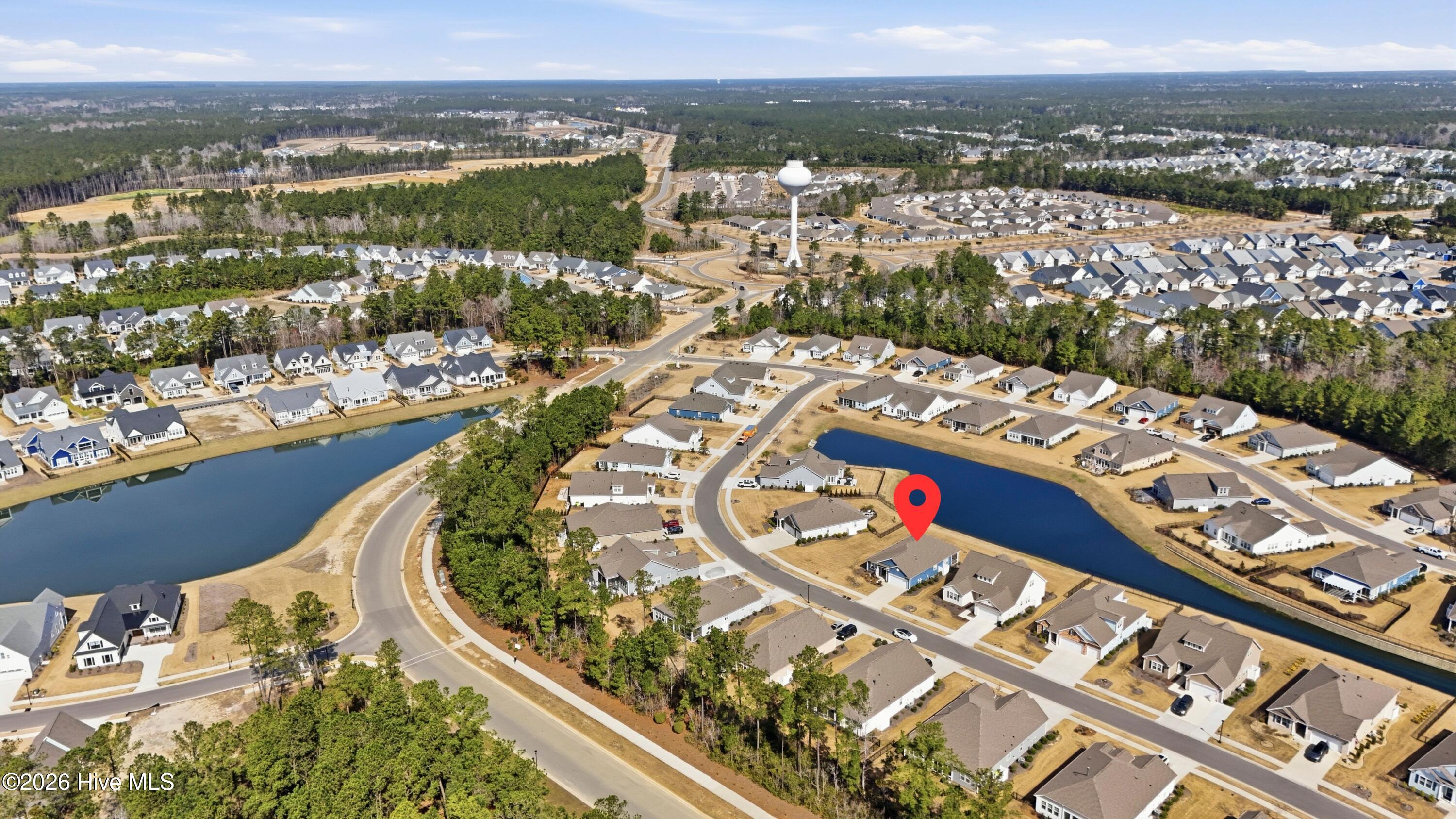 100557593 | Photo 49