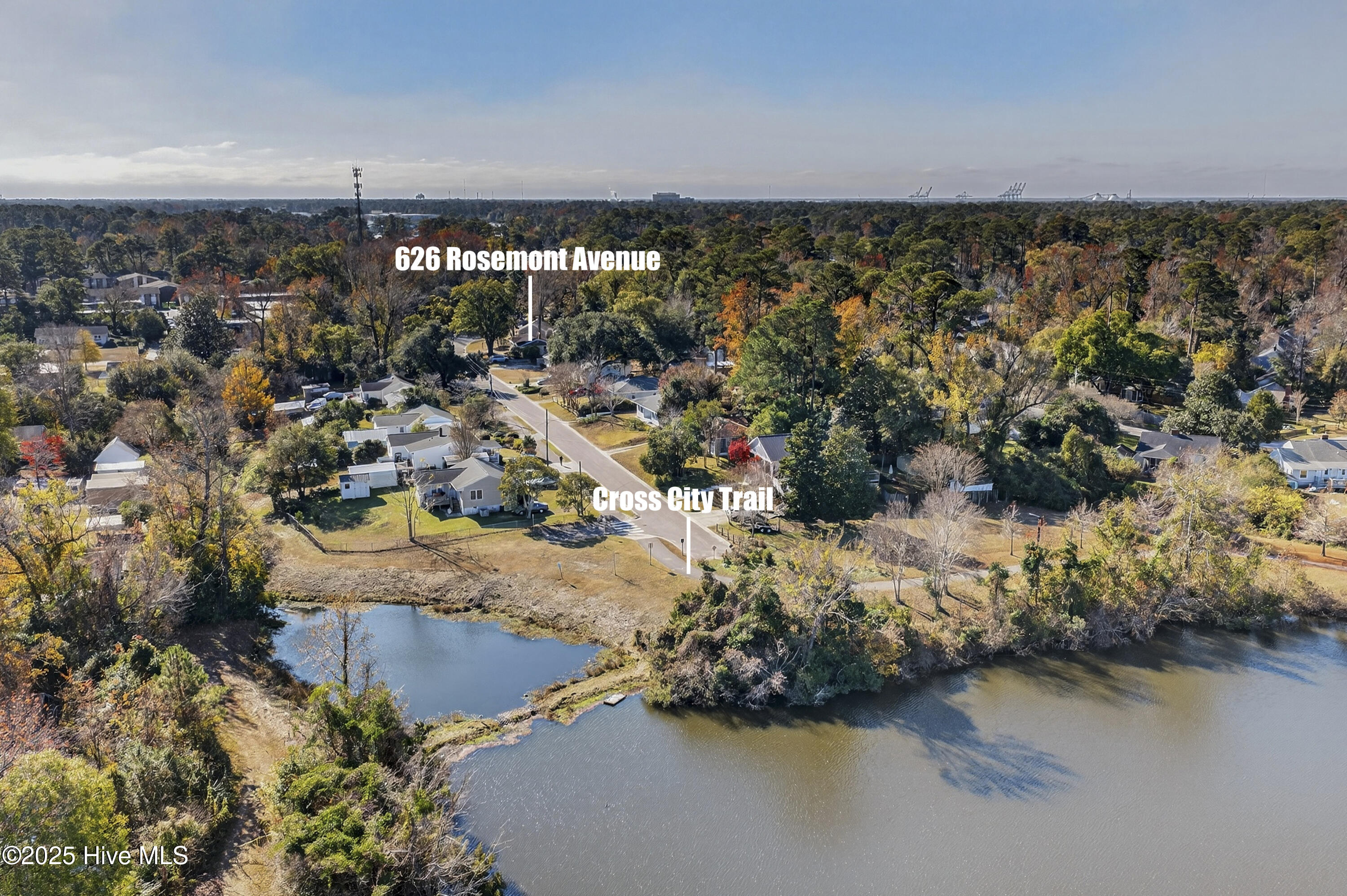 100567481 | Photo 27