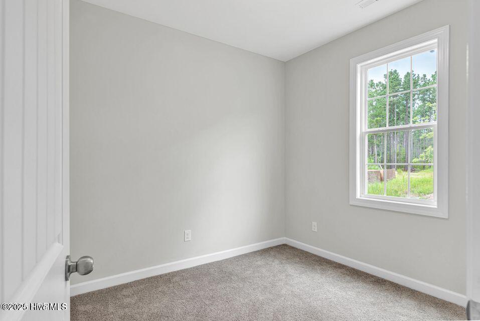 100541742 | Photo 30