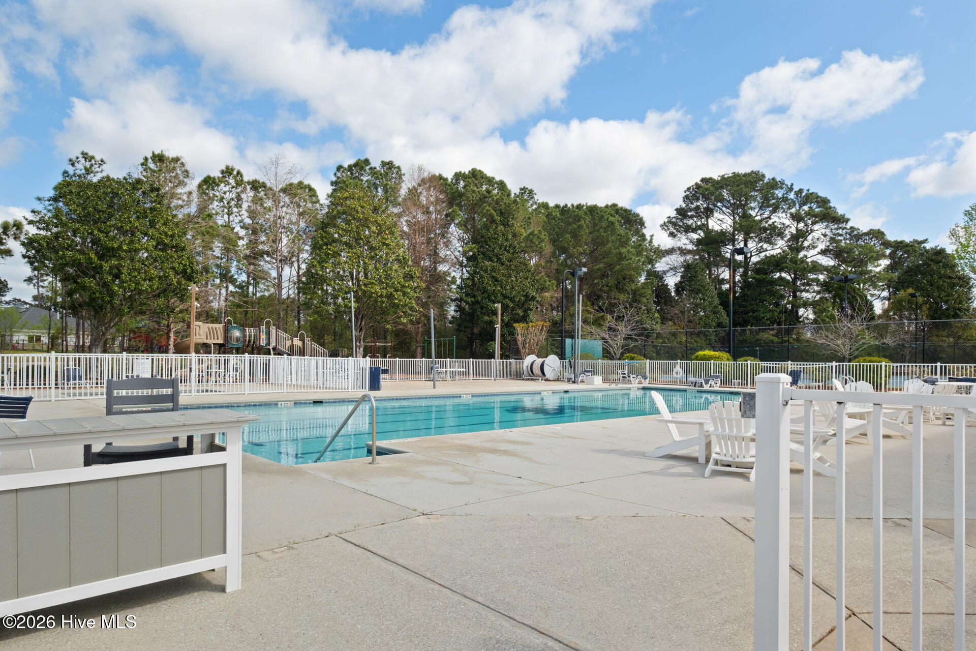 100564524 | Photo 62