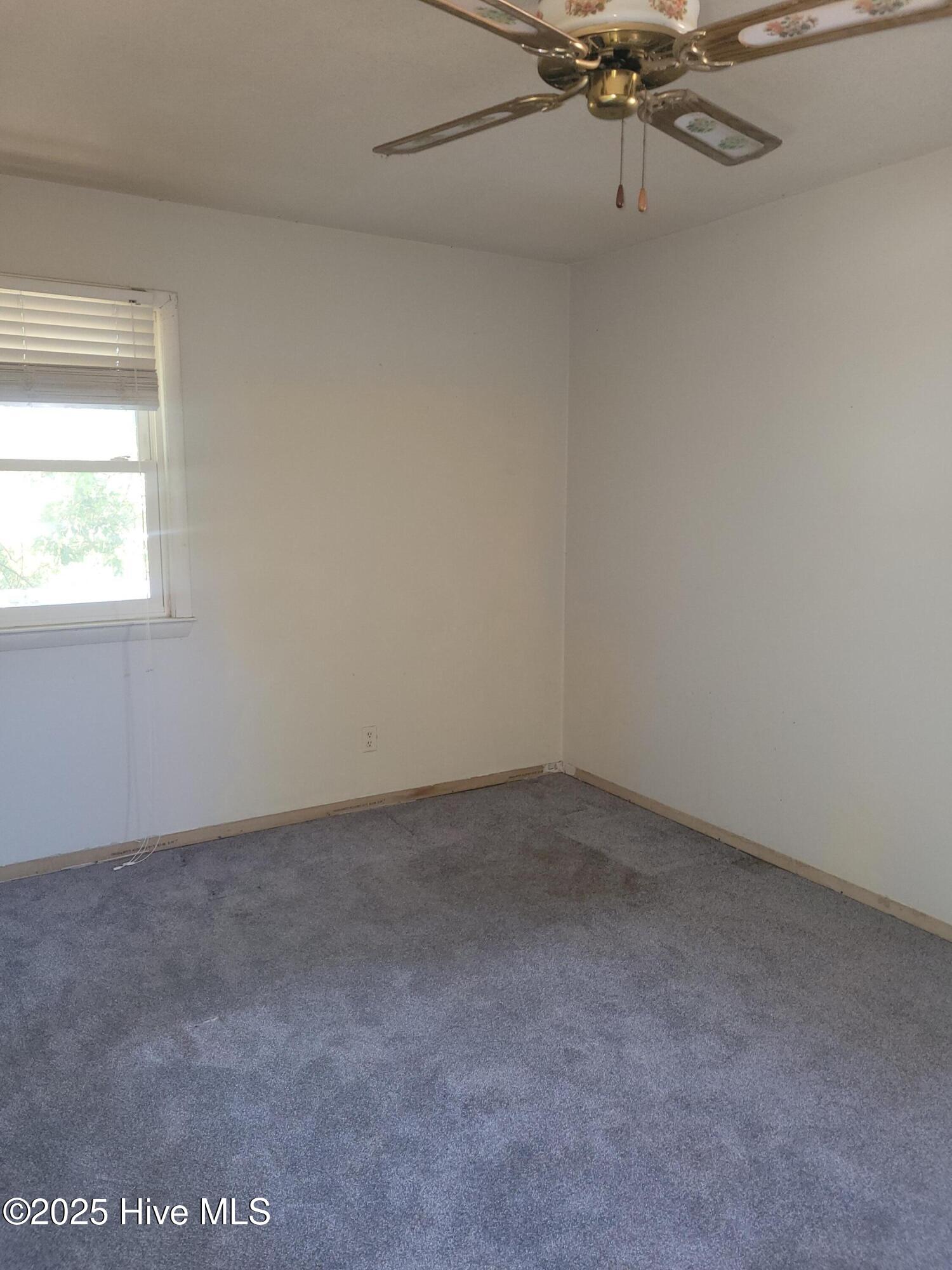 100540059 | Photo 13