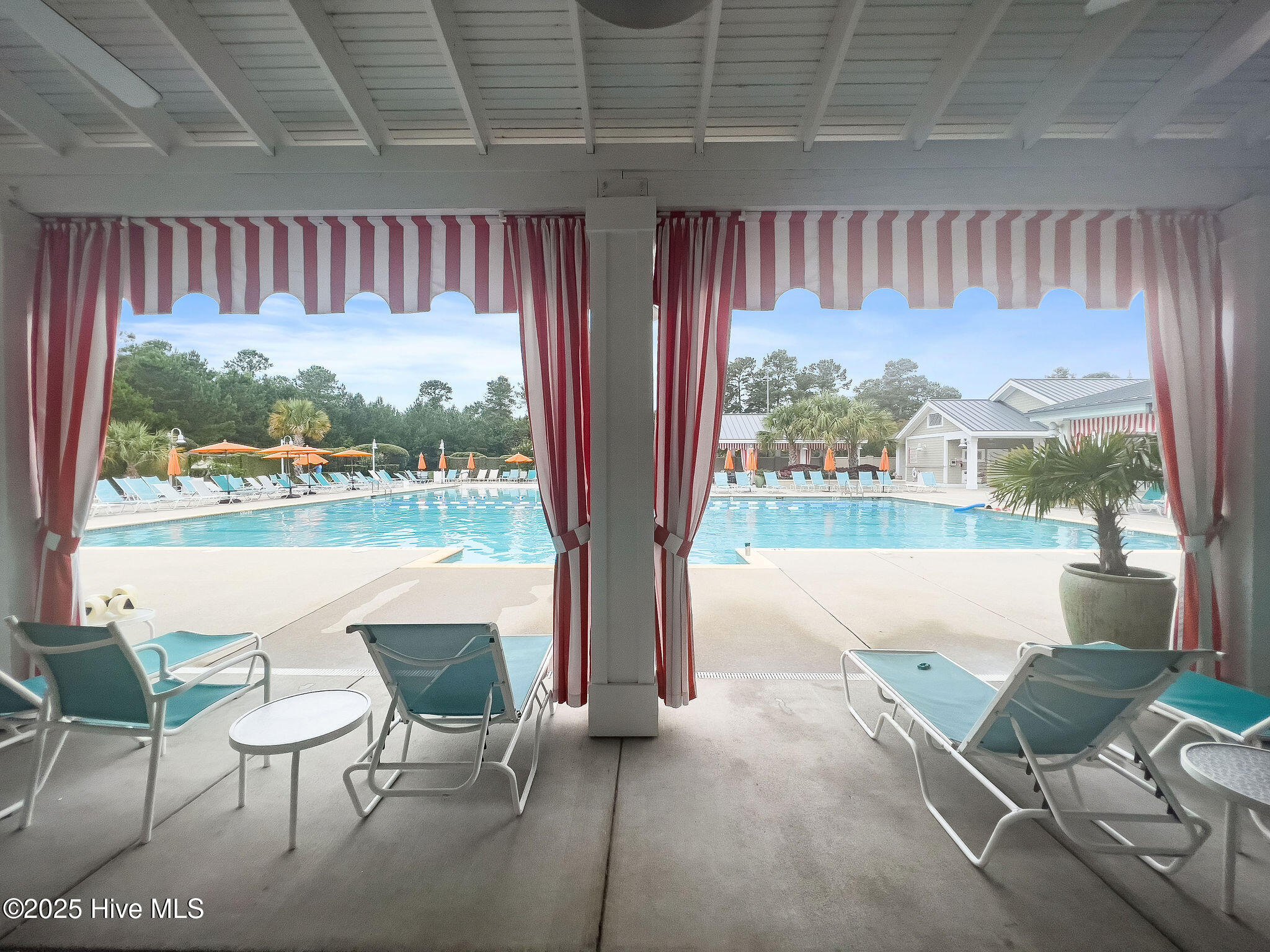 100523892 | Photo 79