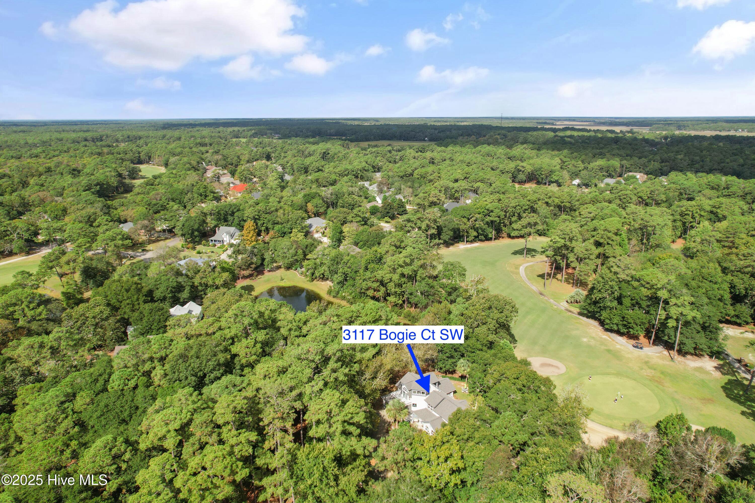 100535274 | Photo 49