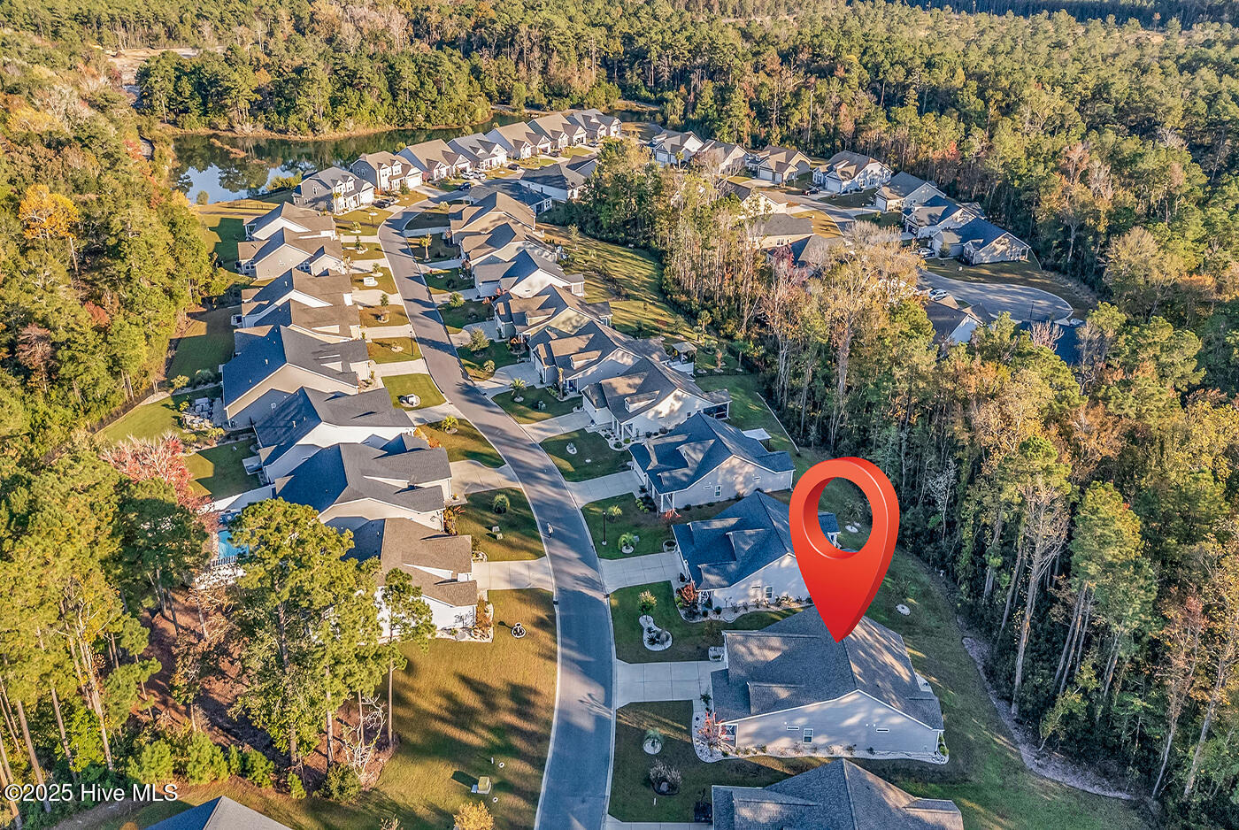 100539654 | Photo 57