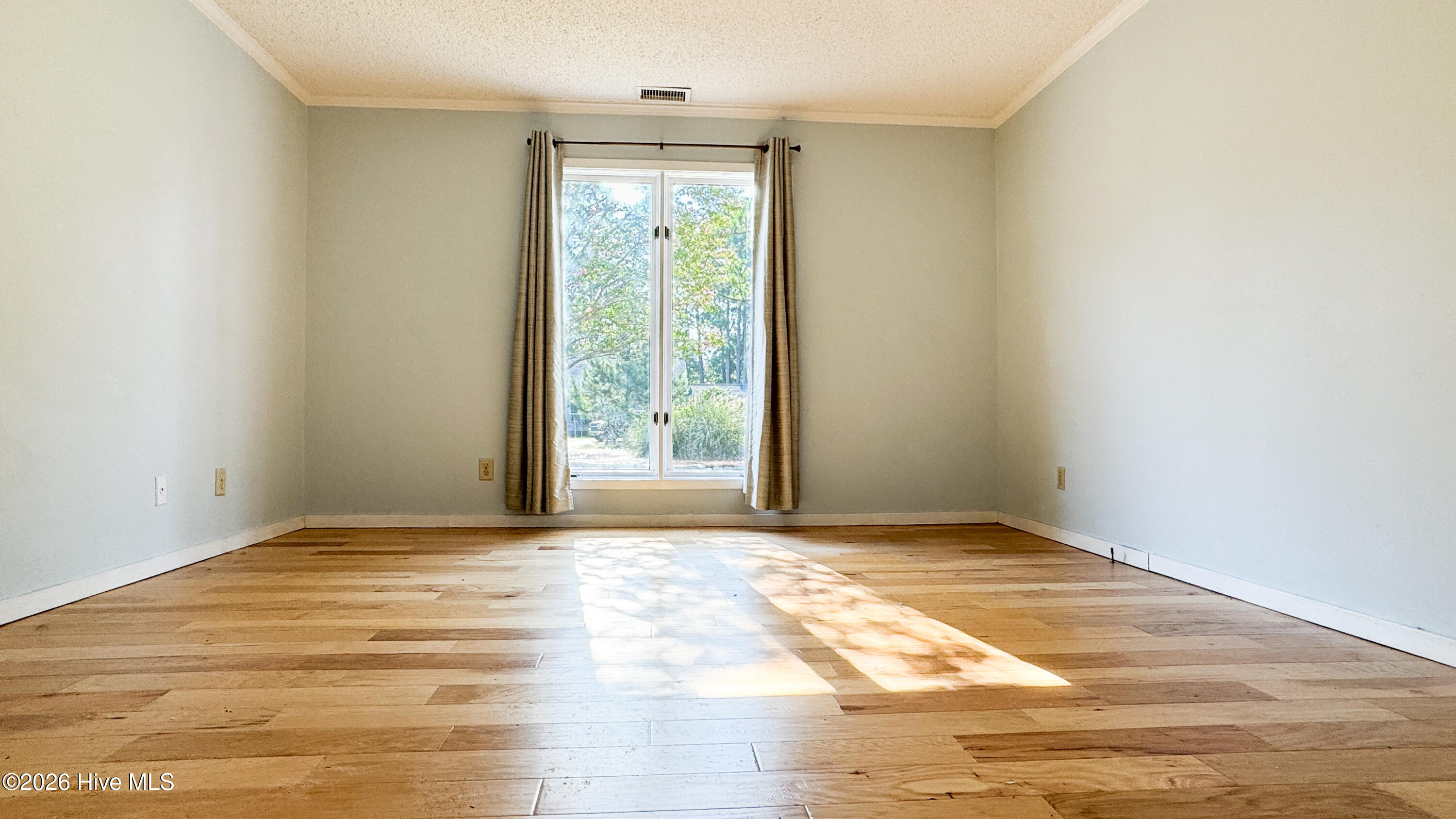 100565099 | Photo 21