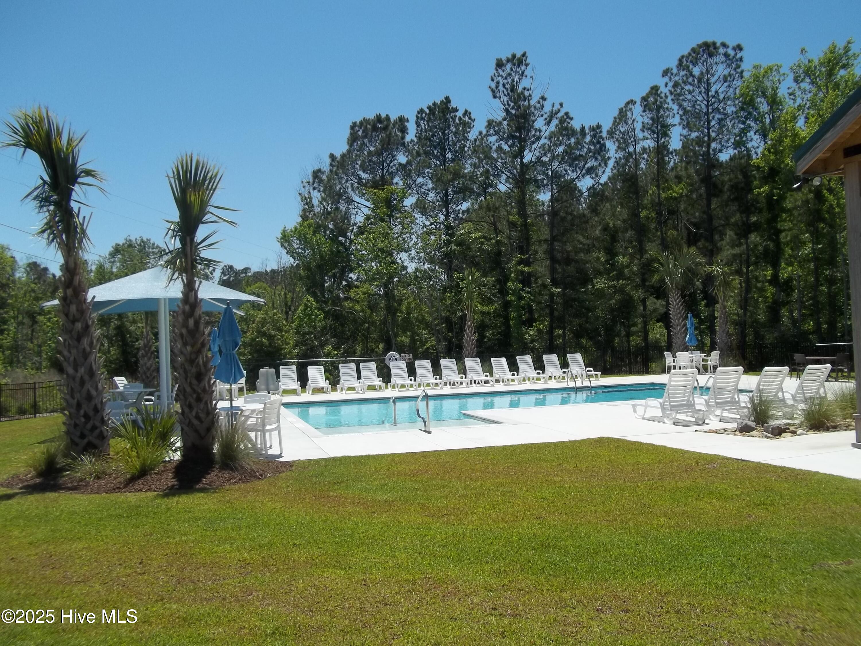 100515250 | Photo 36