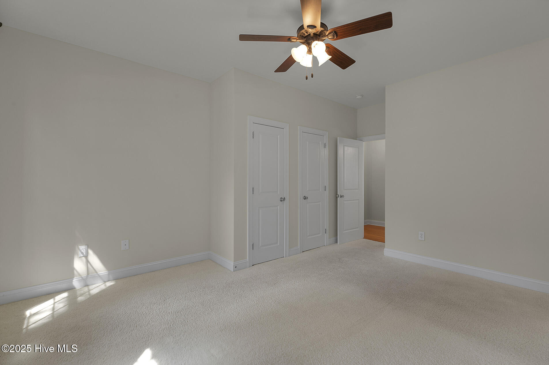 100525517 | Photo 34