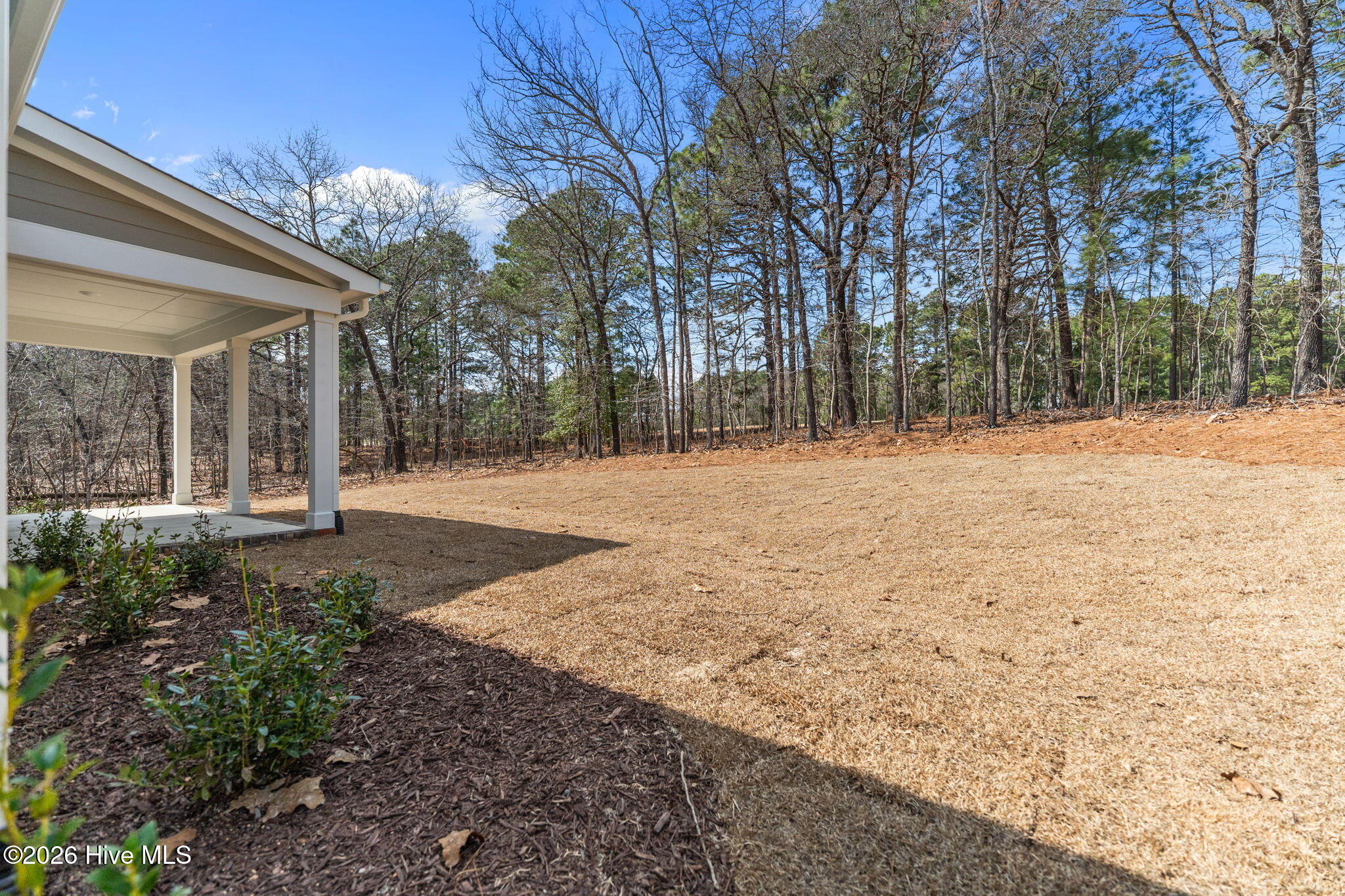 180 Longleaf Drive