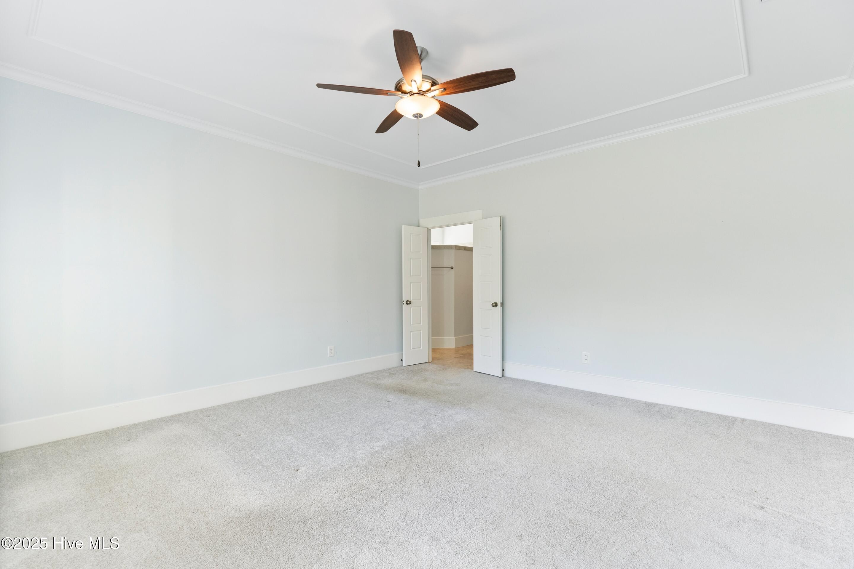 100531261 | Photo 33