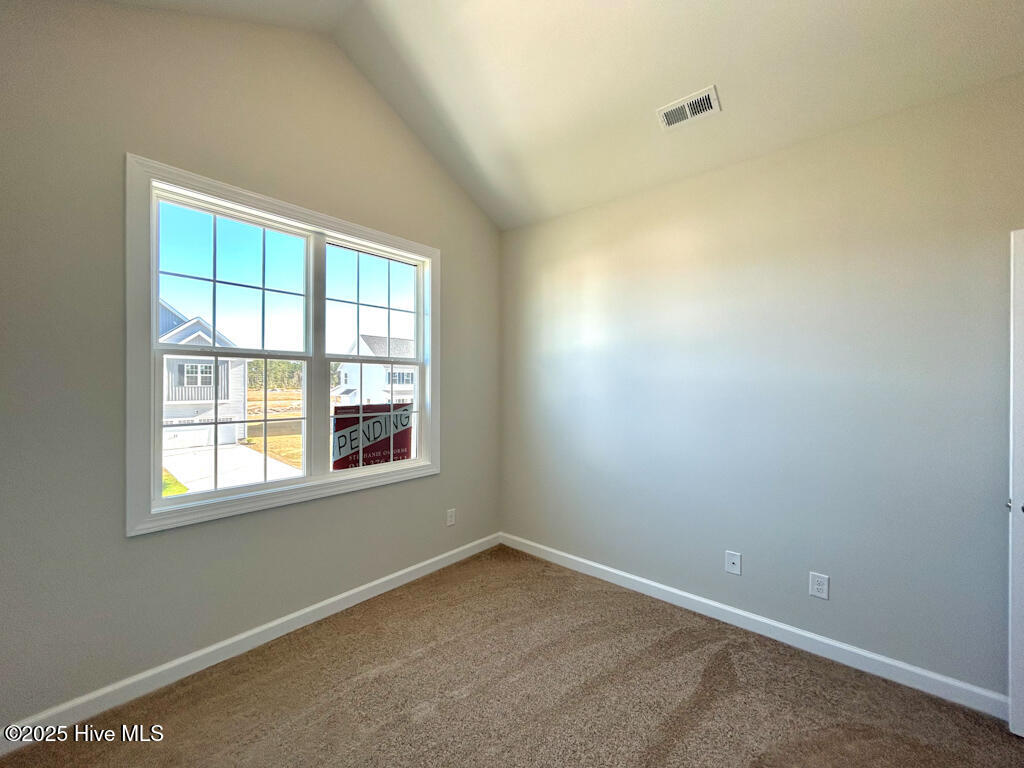 100539065 | Photo 37