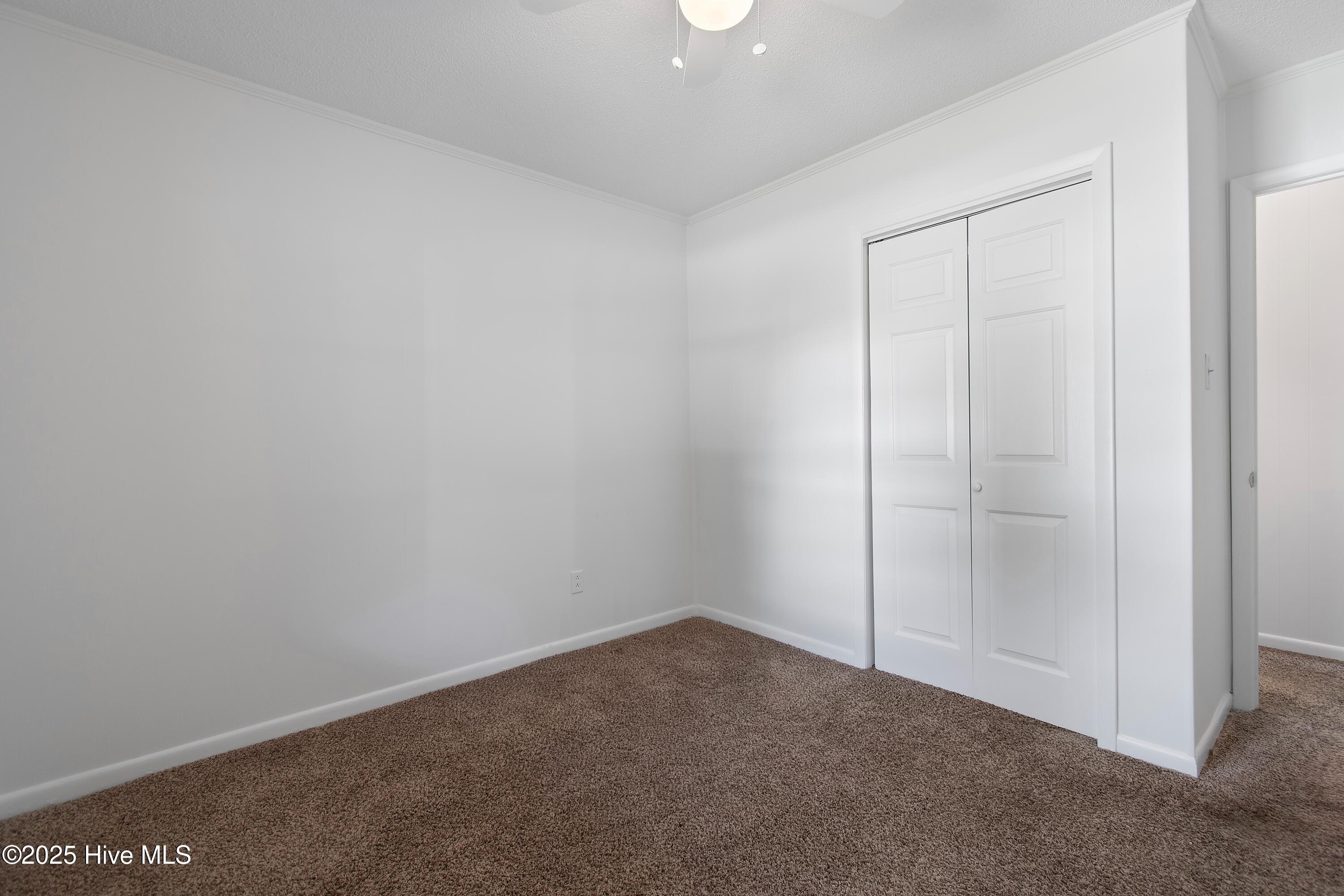 100542544 | Photo 17