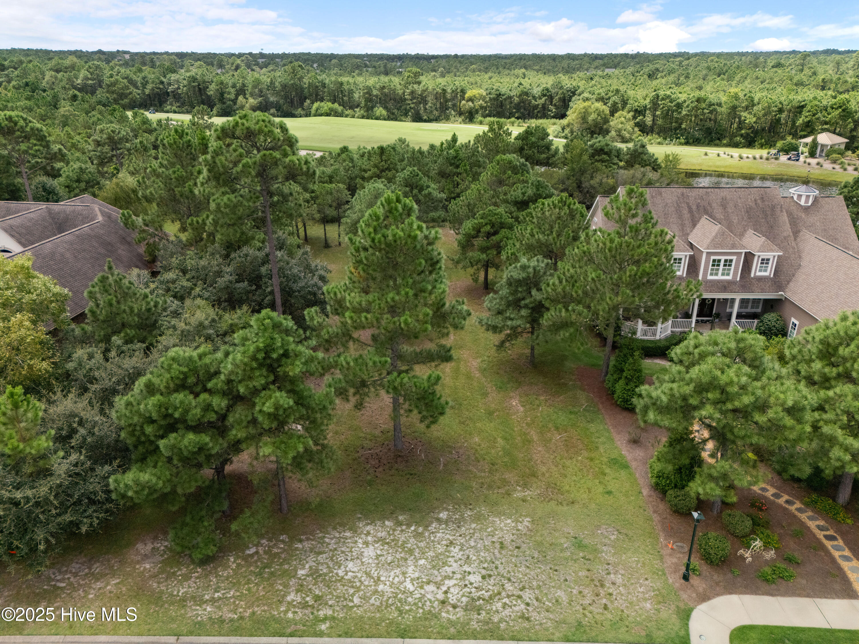 100569790 | Photo 26