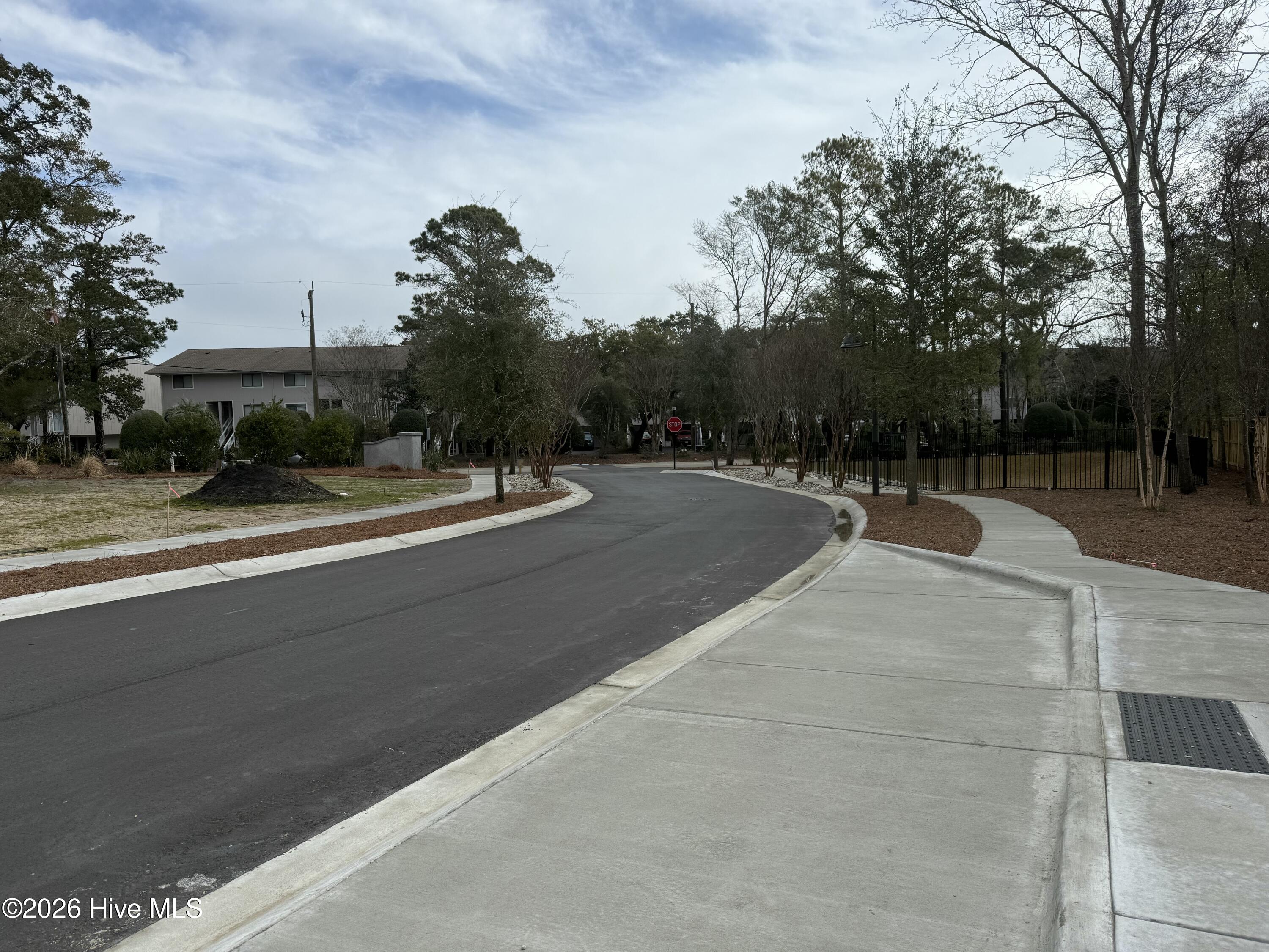 100557532 | Photo 12