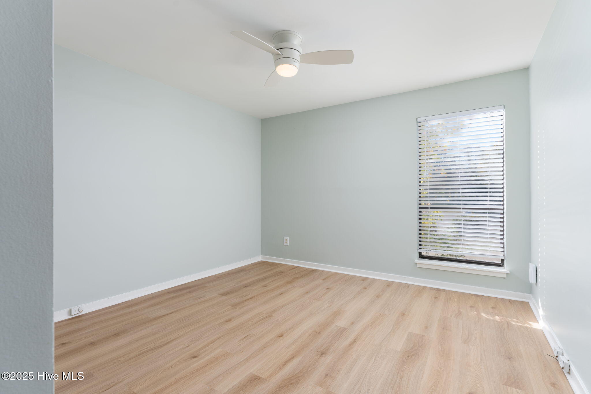 100519799 | Photo 25