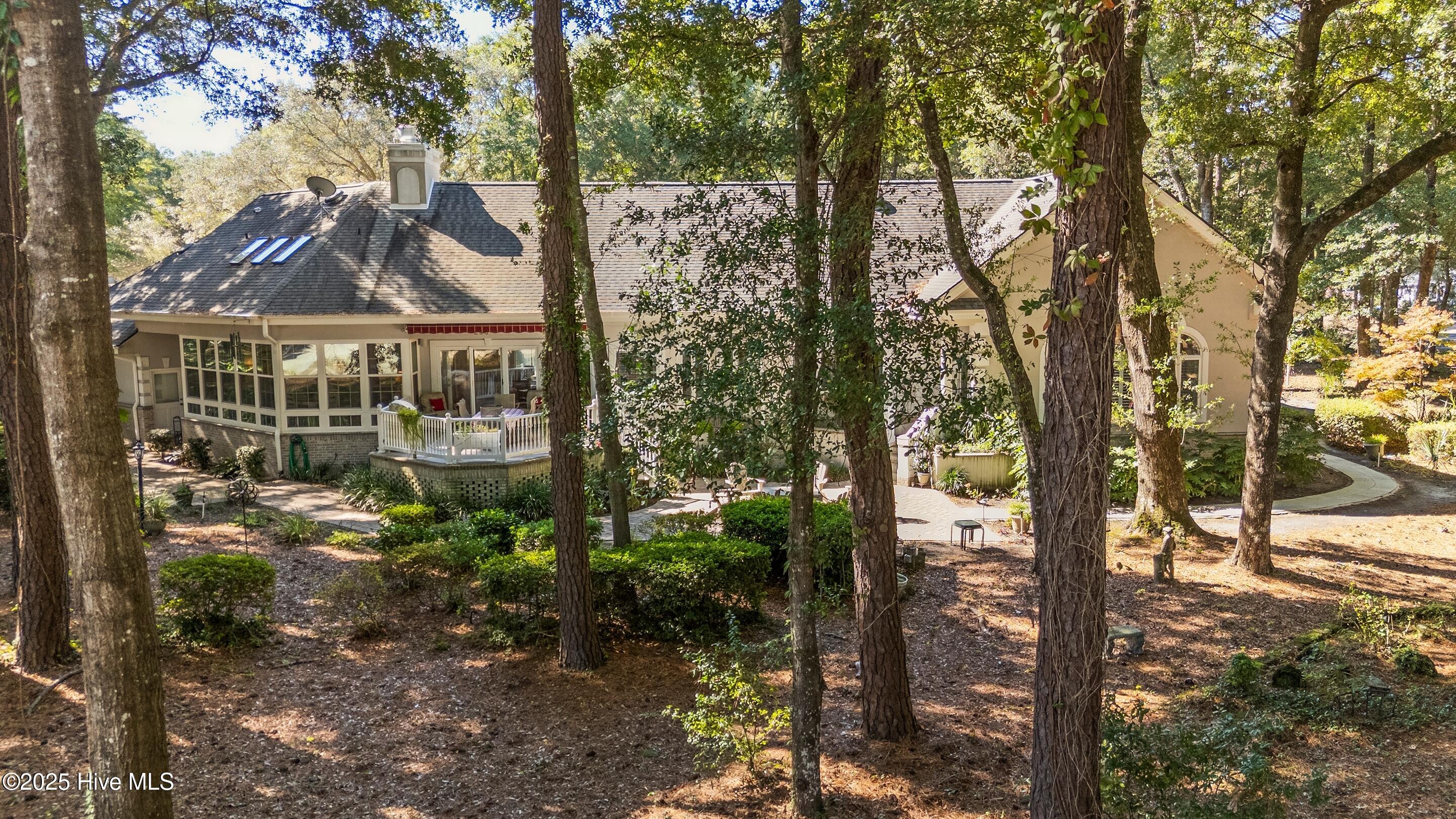 100539115 | Photo 10