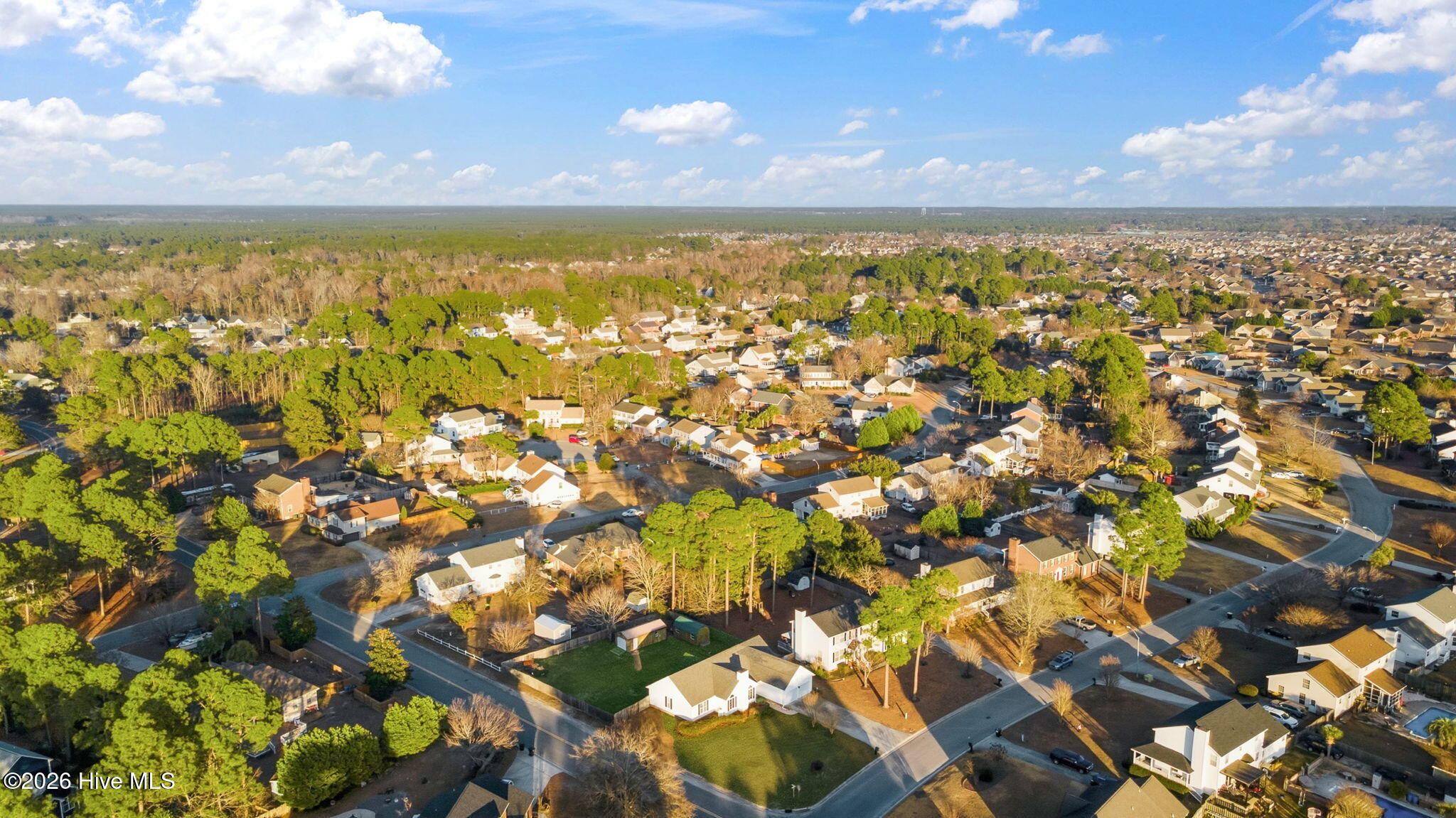 100548117 | Photo 51