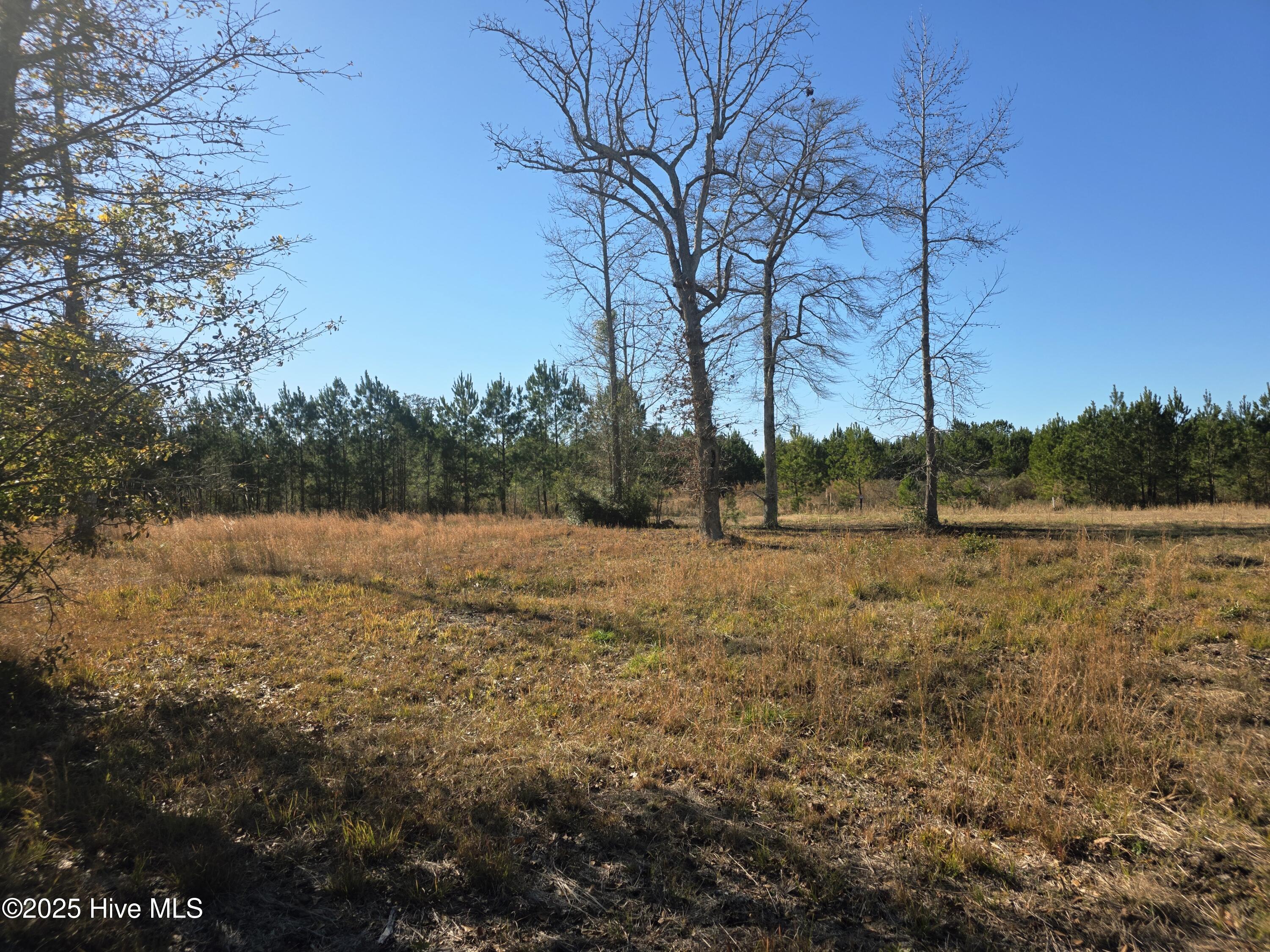 310 Lays Lake Drive, Tabor City, NC, 28463