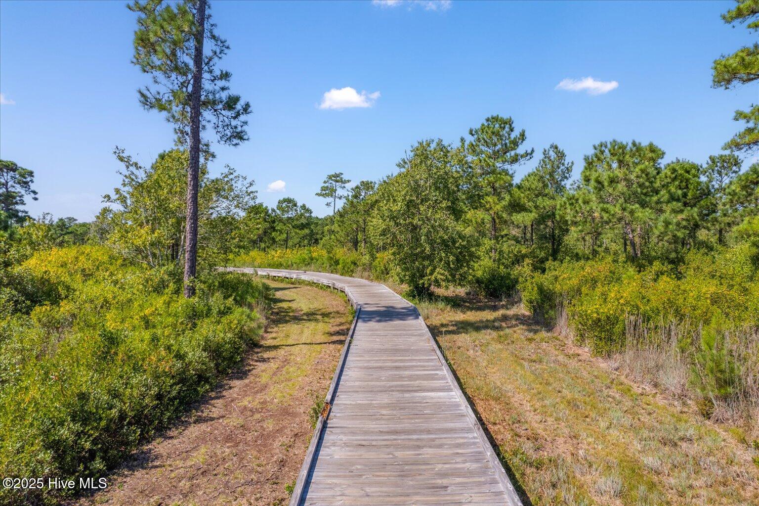 100546095 | Photo 58