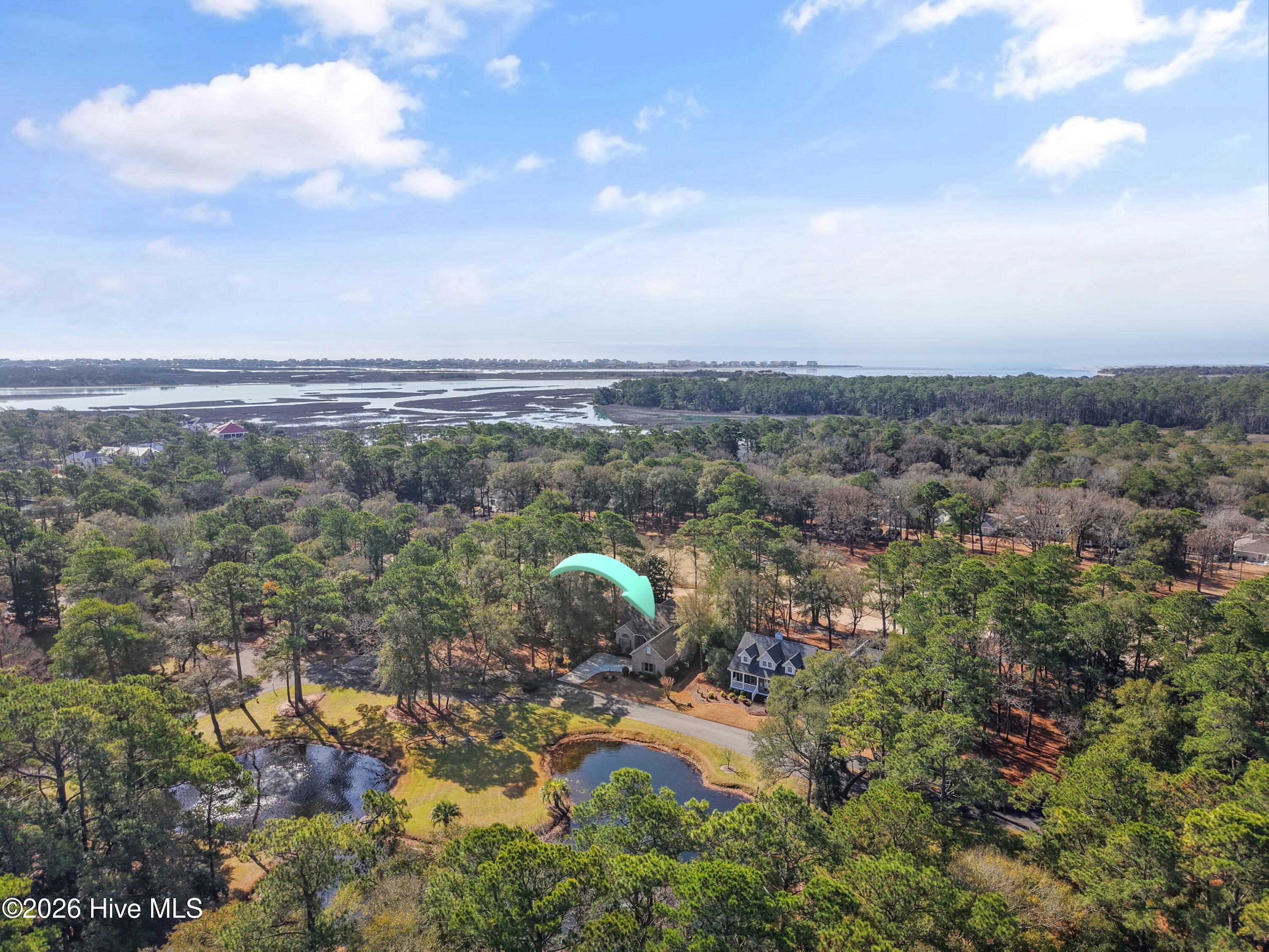 100558651 | Photo 54