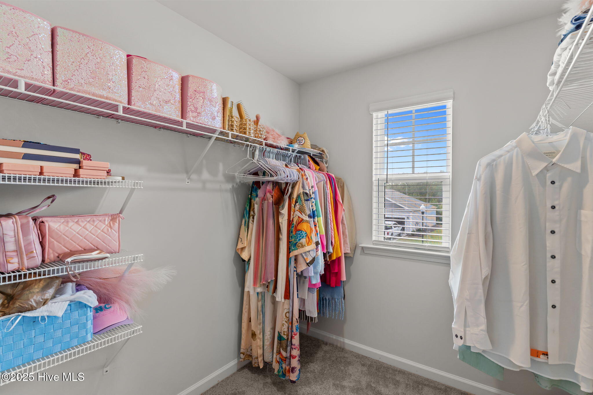 100526308 | Photo 22